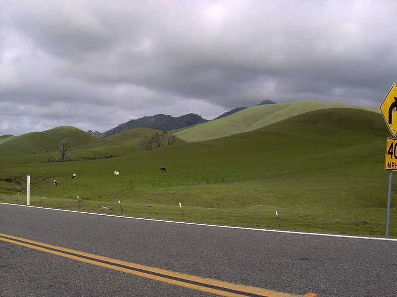 Open road with yellow dividing lines and a 40 MPH speed limit sign on a countryside with green rolling hills, sparse trees, and grazing cows under cloudy sky.
