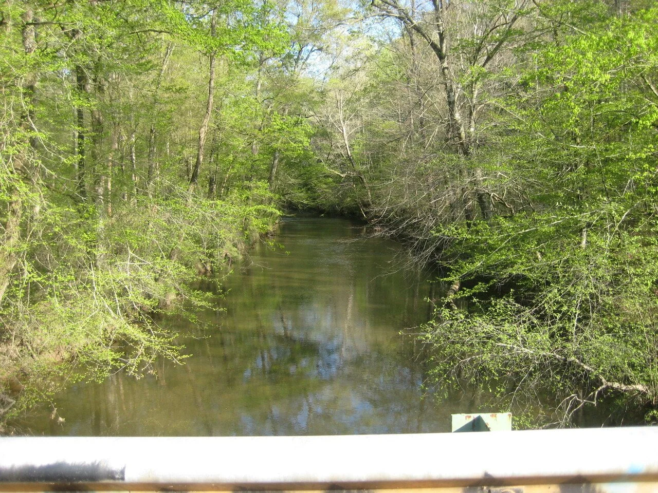 A narrow, calm river flowing through a lush green forest with trees on both sides, some with new spring leaves, under a clear blue sky.