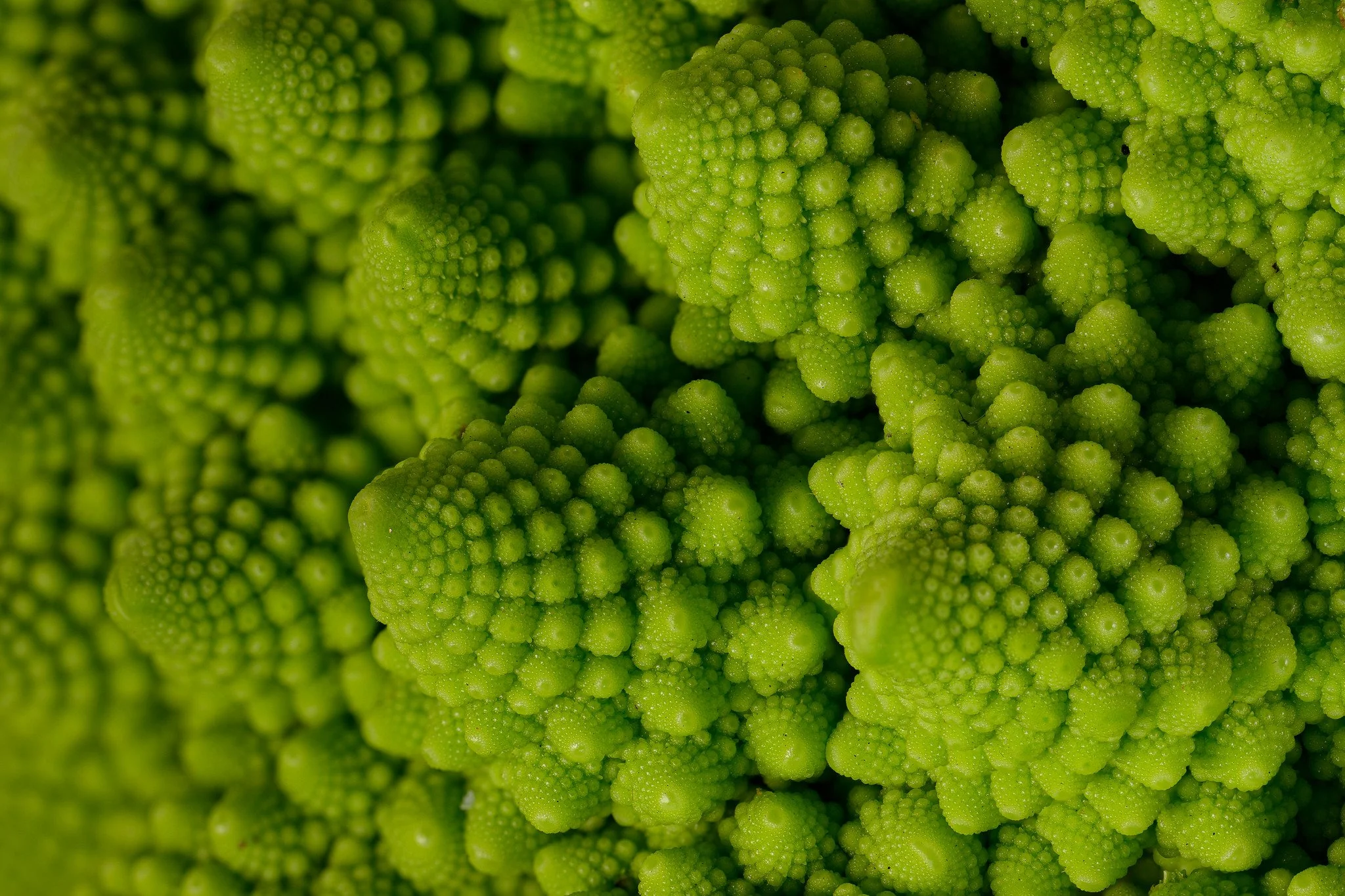 2026-02-04 21-02-25 (B,R8,S4).jpg