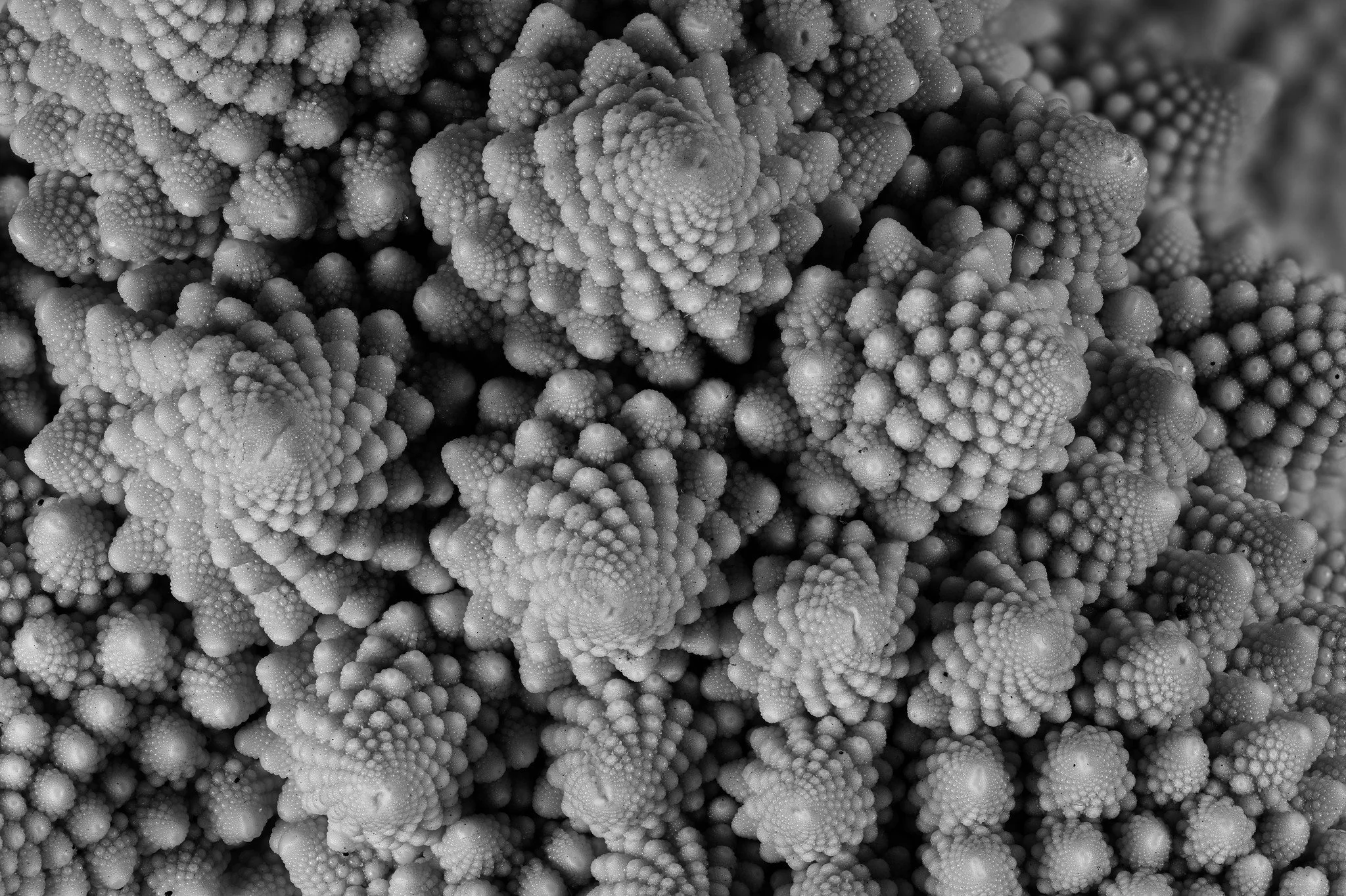 2026-02-06 22-35-06 (B,R8,S4).jpg