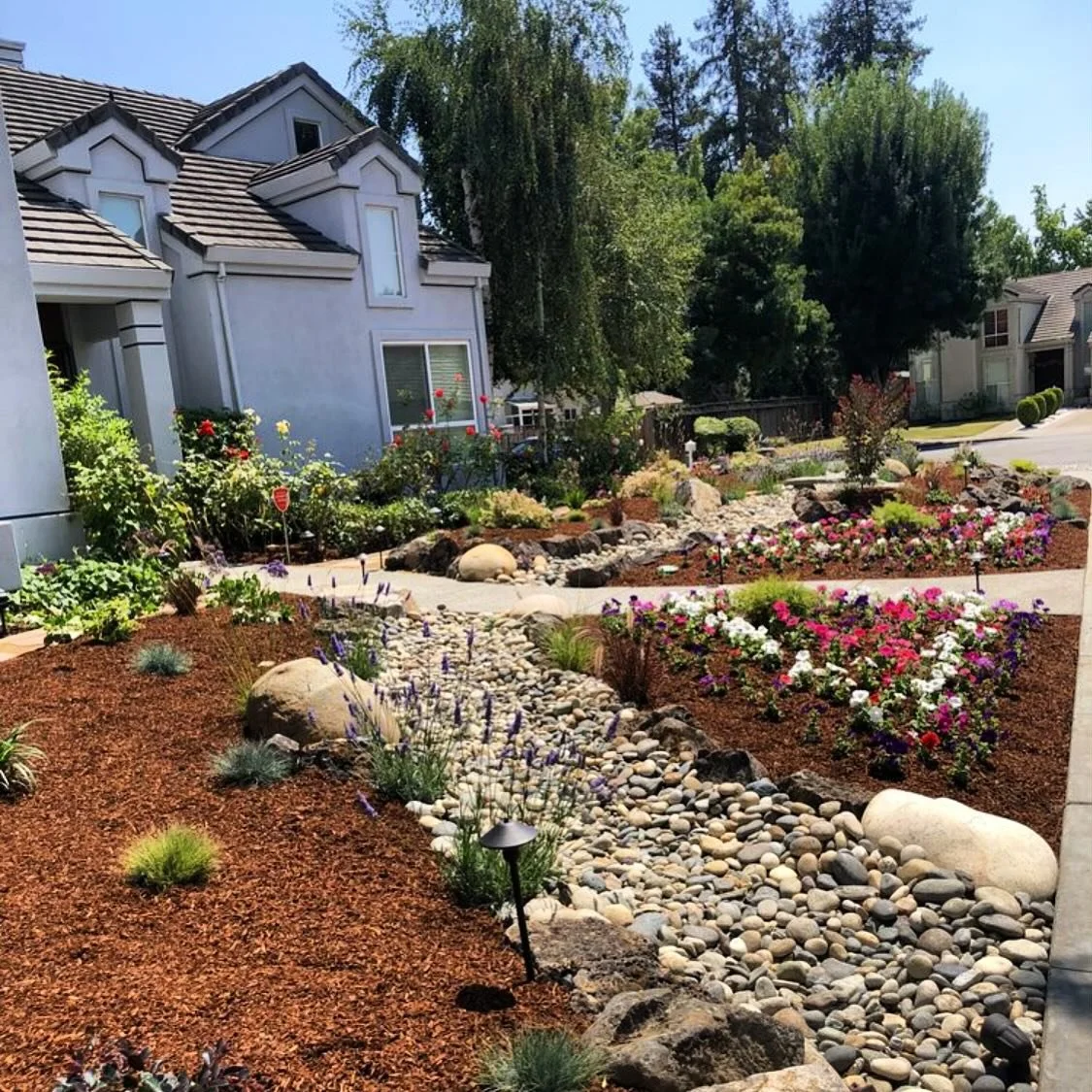 Bring your vision to life