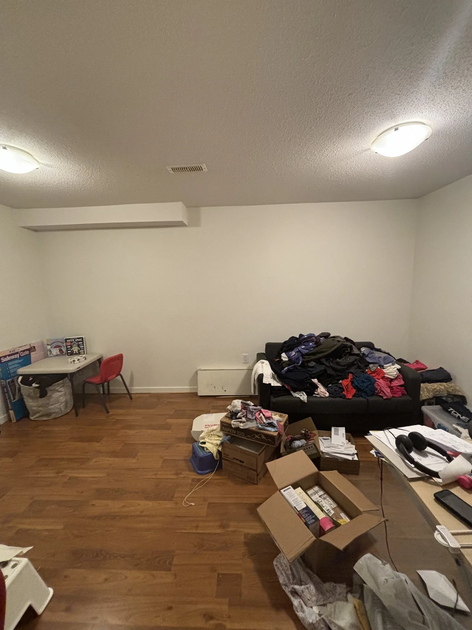 Basement Before