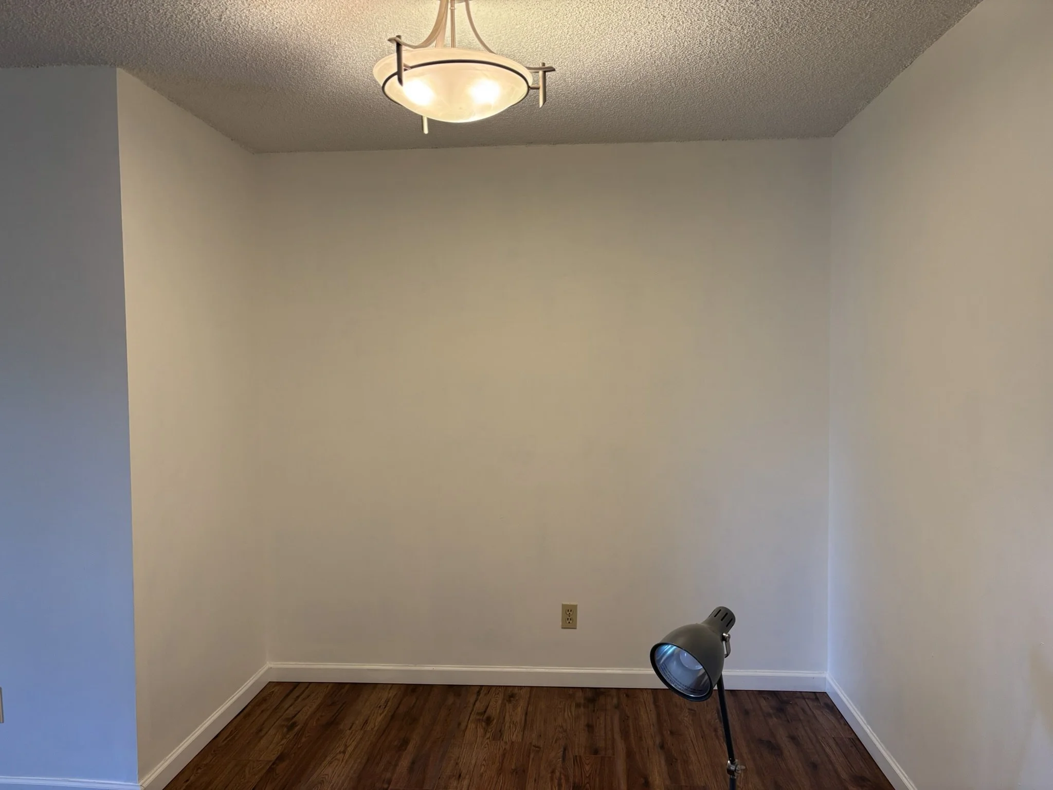 Dining Room Before