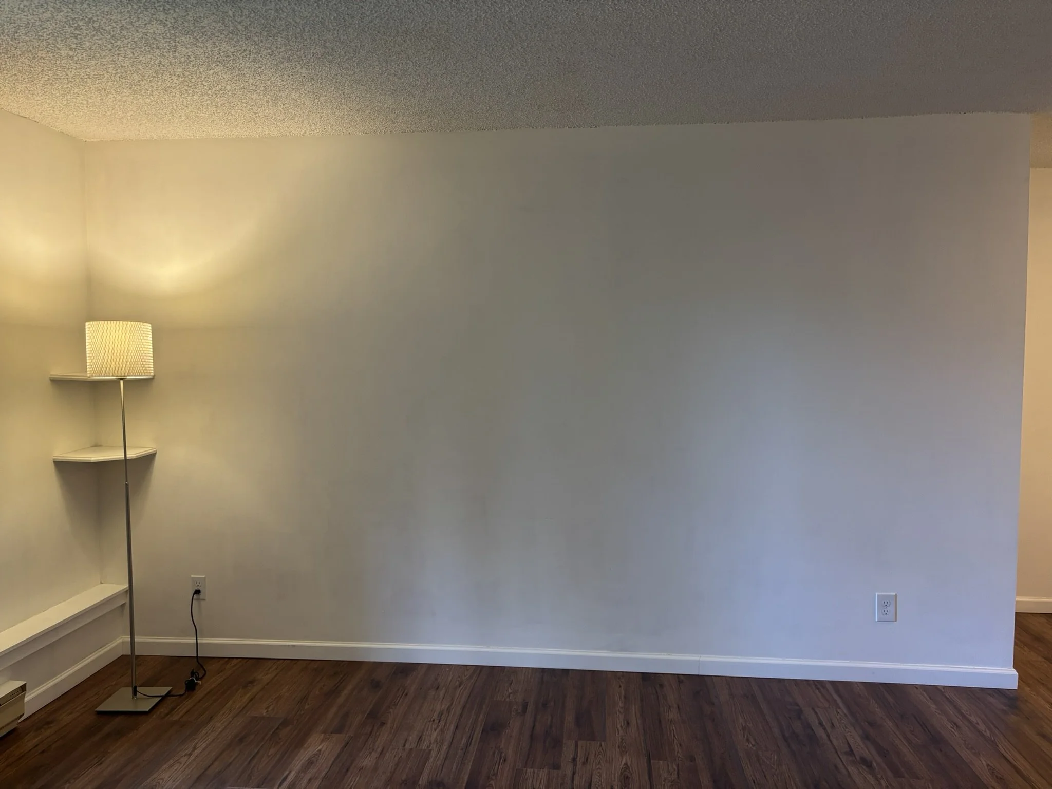 Living Room Before