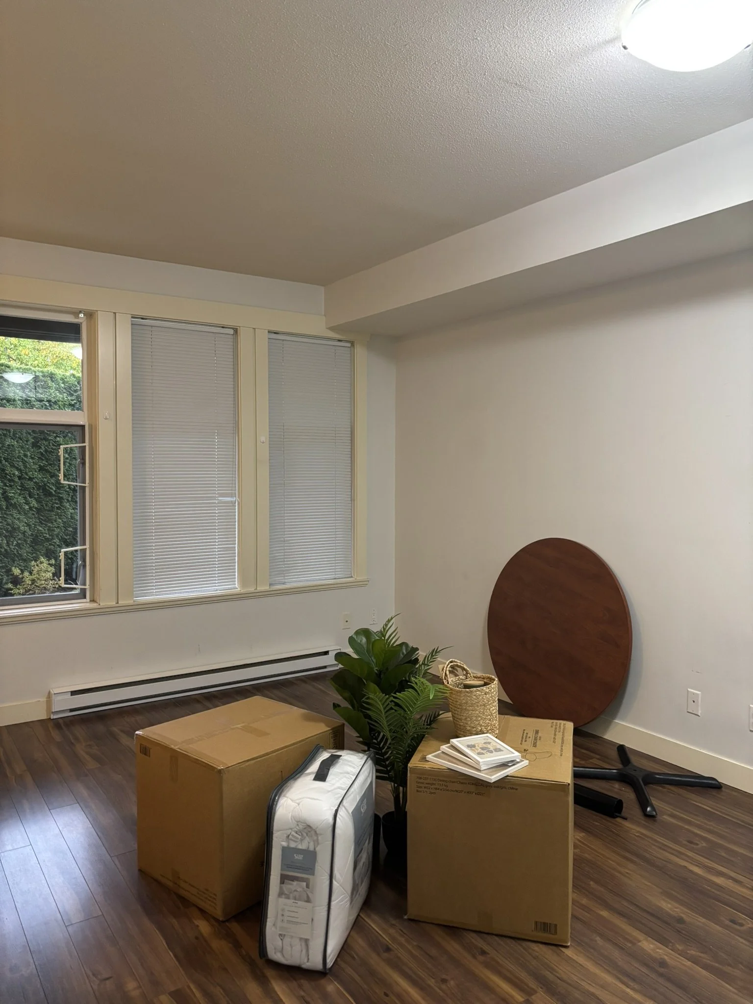 Living Room Before