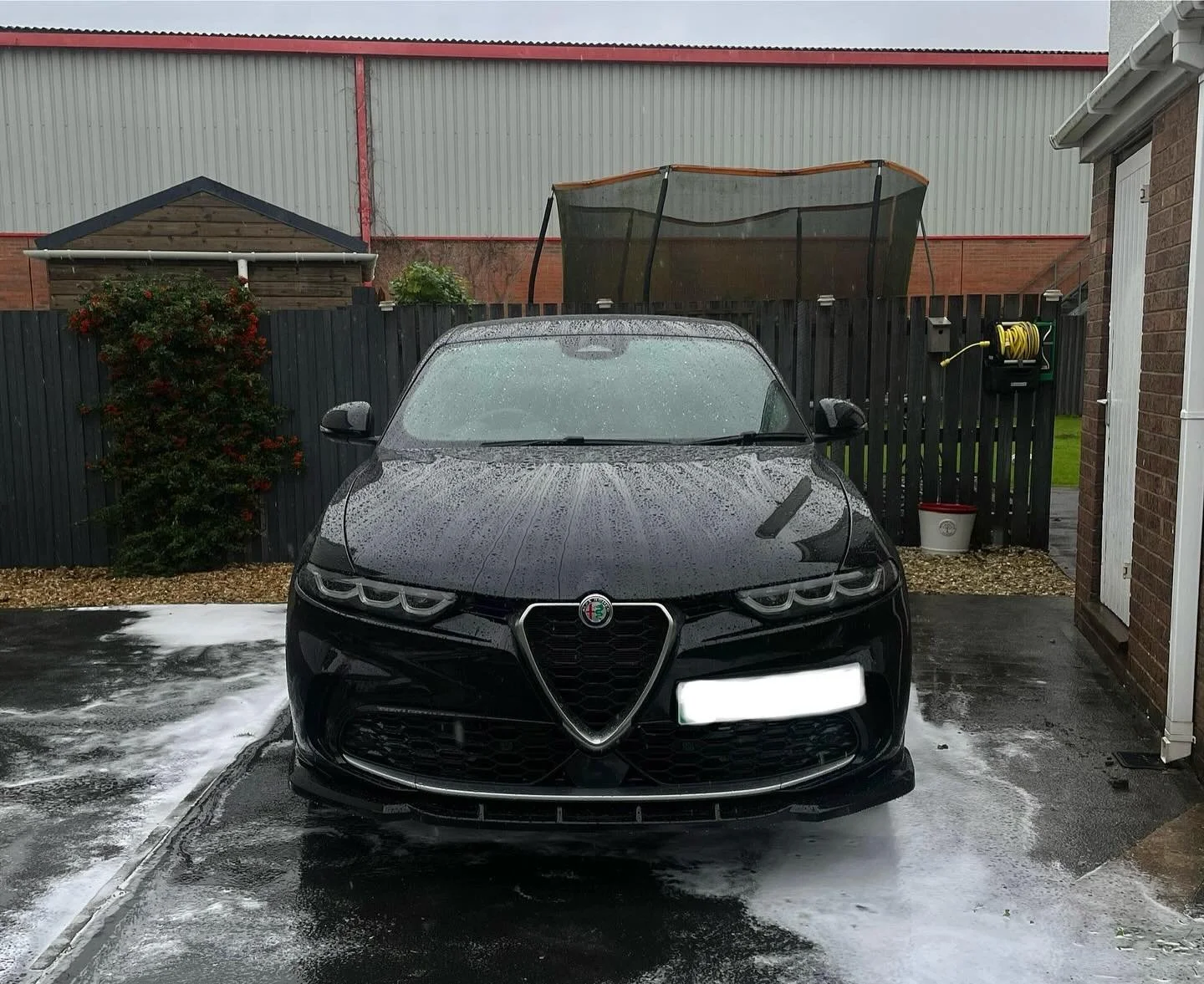 Exterior safe wash and chemical decontamination today. She looks good🤩

#alfaromeoofficial #alfaromeo #ceramiccoating #detailing #cardetailing #jmautocare #beading #carsofinsta #sportscar