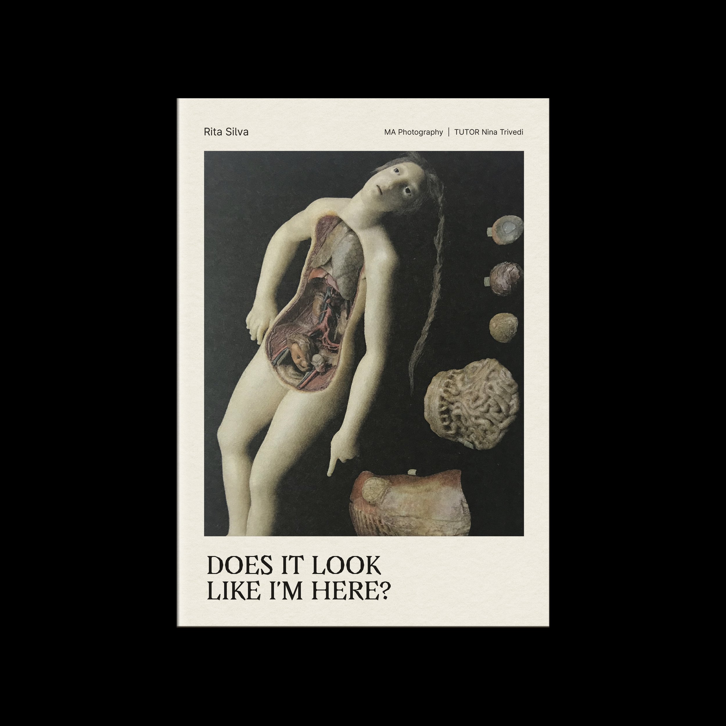 doesitlook1.jpg