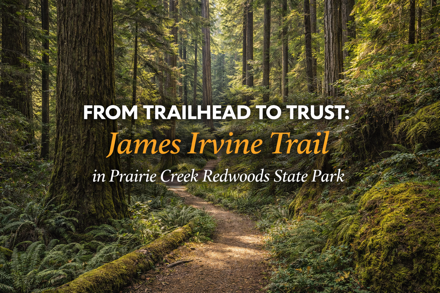 From Trailhead to Trust: James Irvine Trail in Prairie Creek Redwoods State Park