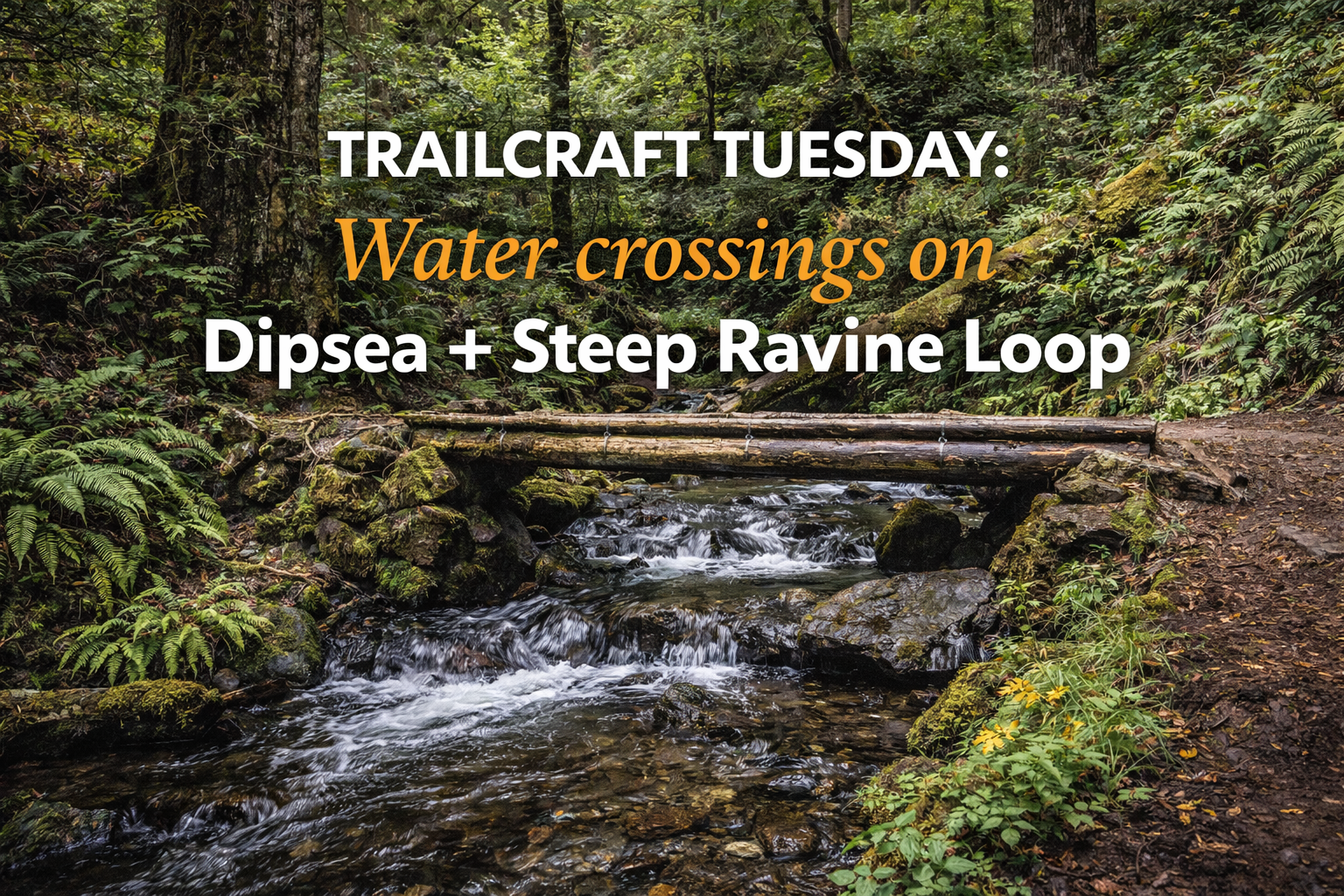Trailcraft Tuesday: Water crossings on Dipsea + Steep Ravine Loop