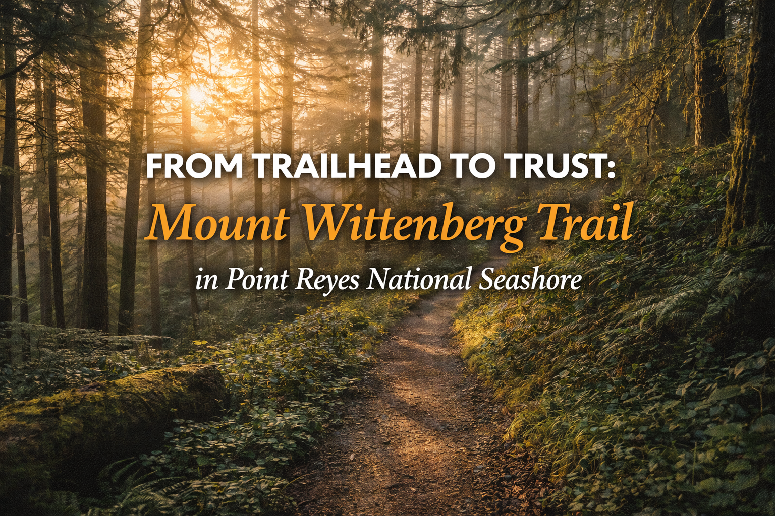 From Trailhead to Trust: Mount Wittenberg Trail in Point Reyes National Seashore