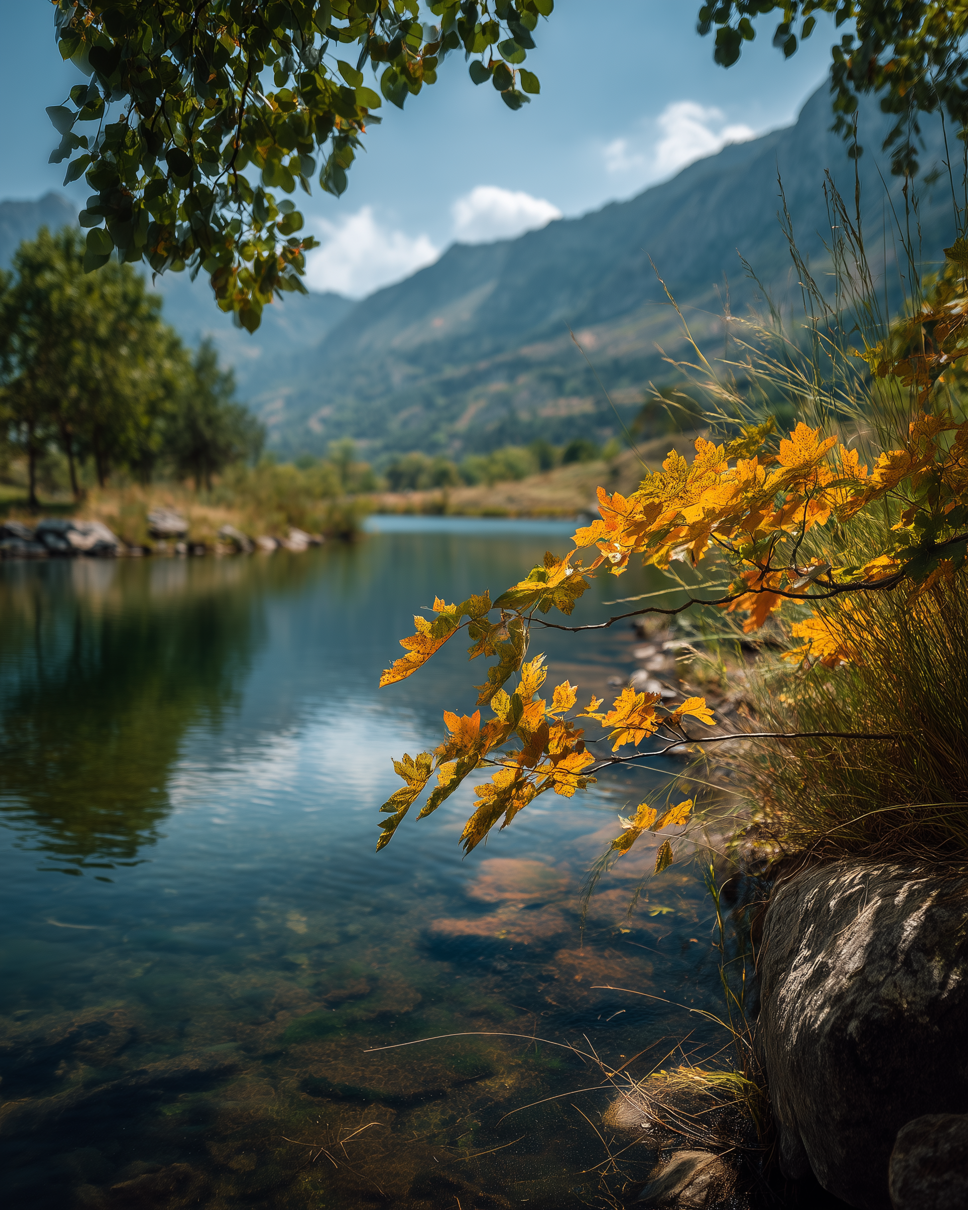 andreycelestino_natures_beauty_photo_taken_from_a_Nikon_Z8_came_dfc5cb09-1dcc-4ae9-84b5-15857556dc91.png