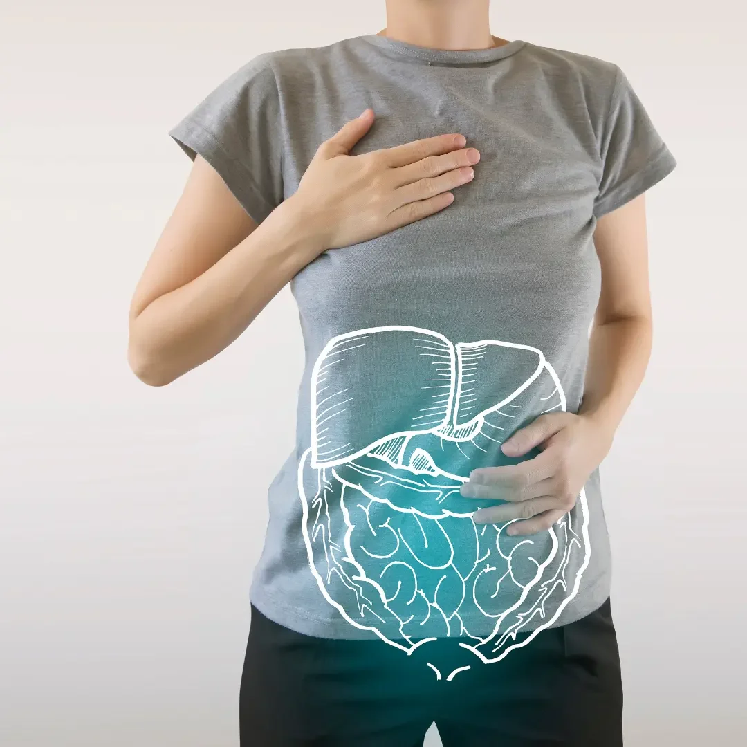 Imagen de probióticos y suplementos naturales para la salud digestiva y el metabolismo equilibrado – Alternativ.