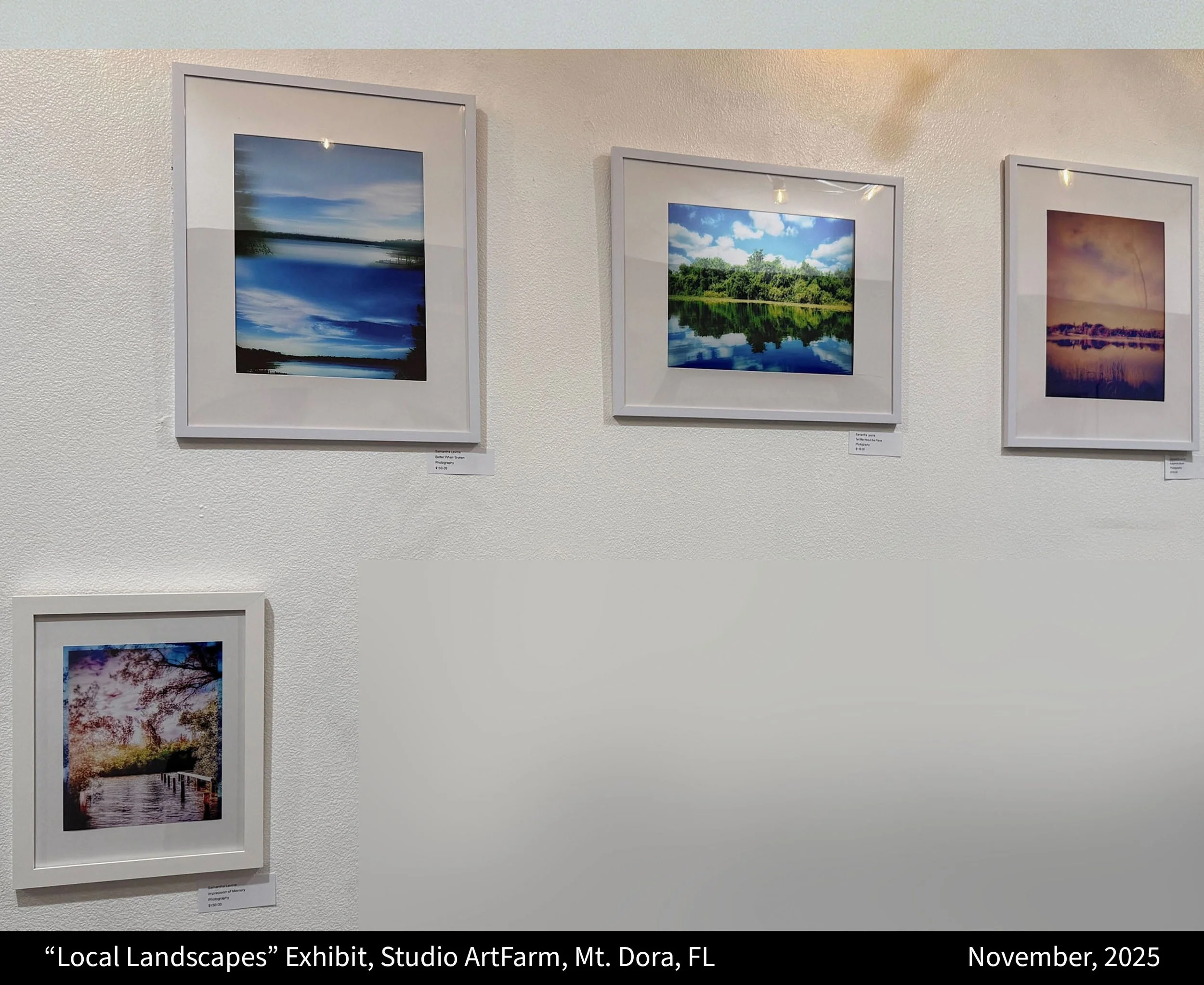 local landscapes.jpeg