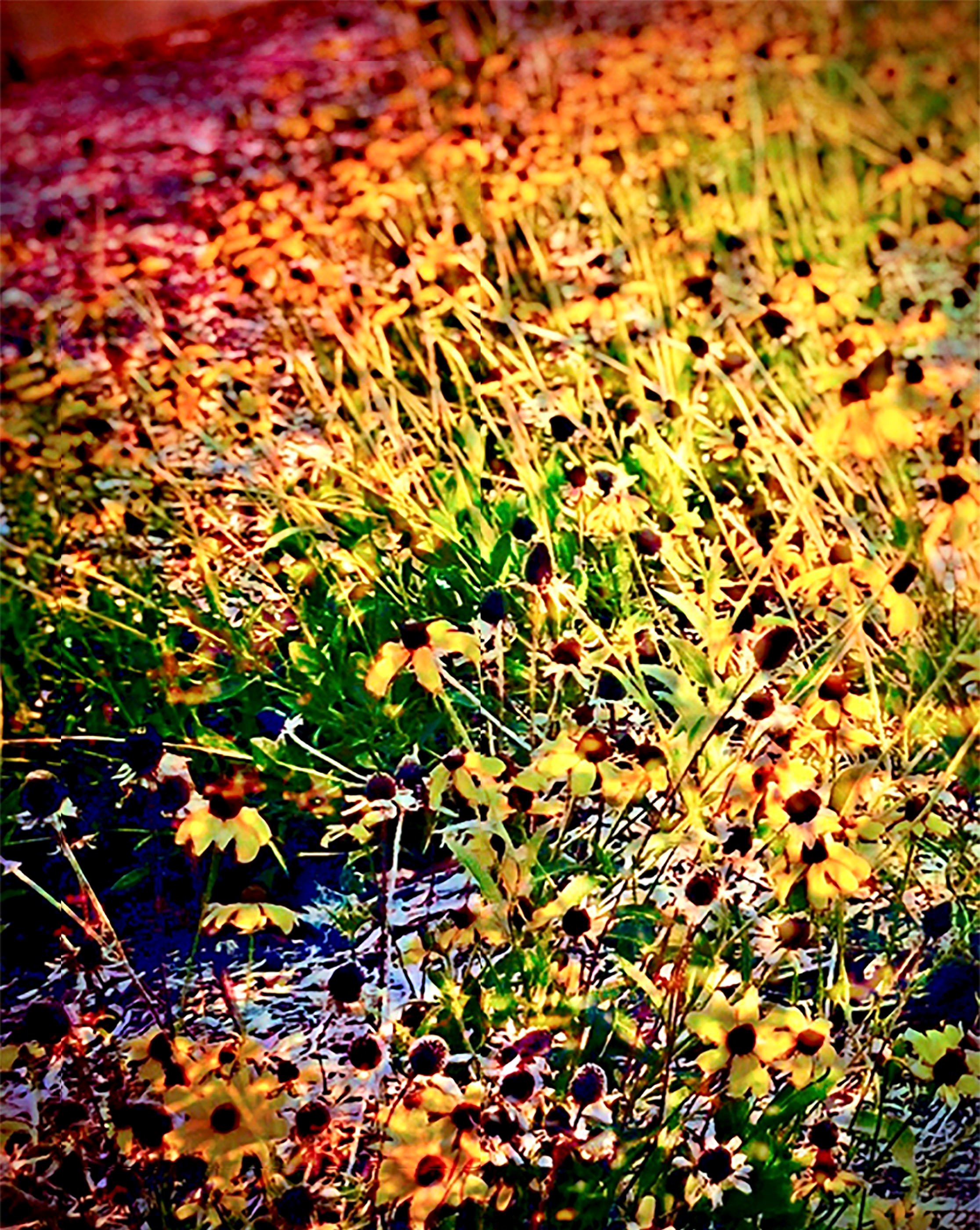 Burned by the Light.jpg