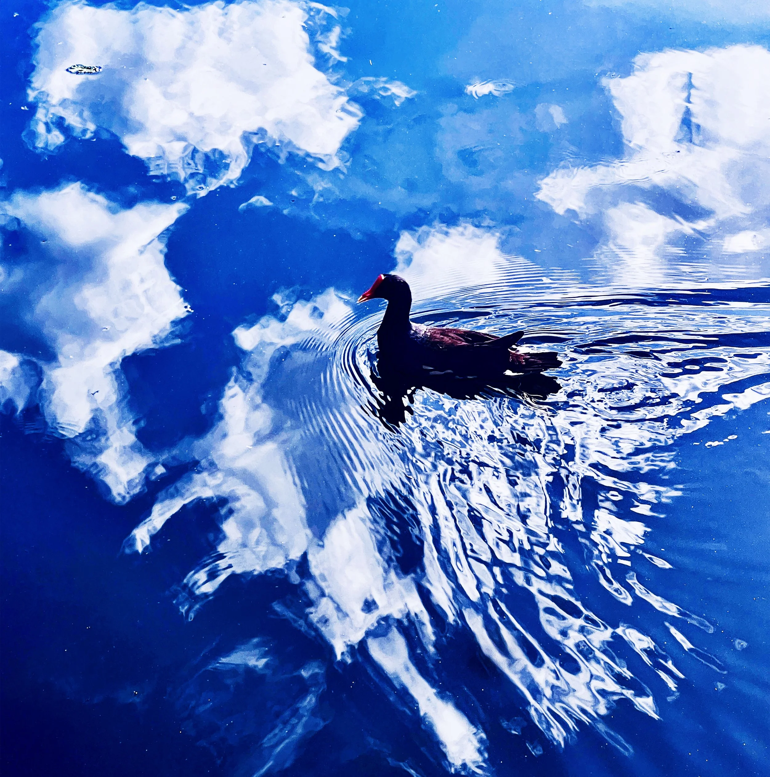 Ripples Through a Heart.jpeg