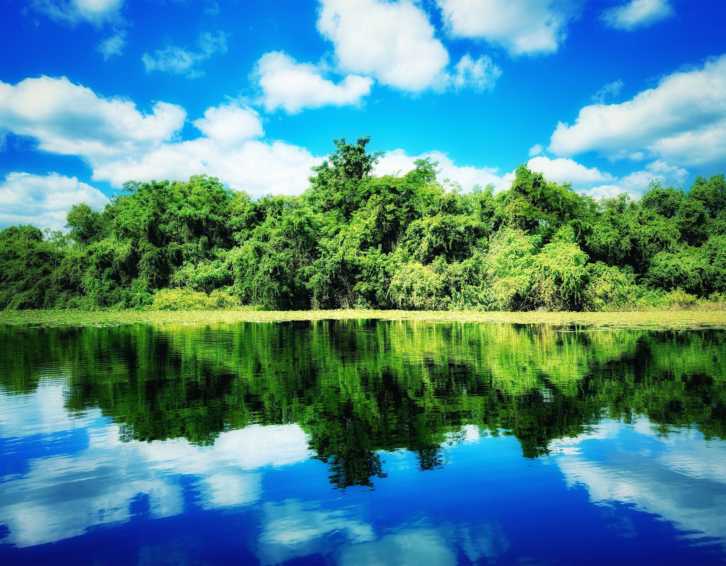 Water's Edge 11 14.jpeg