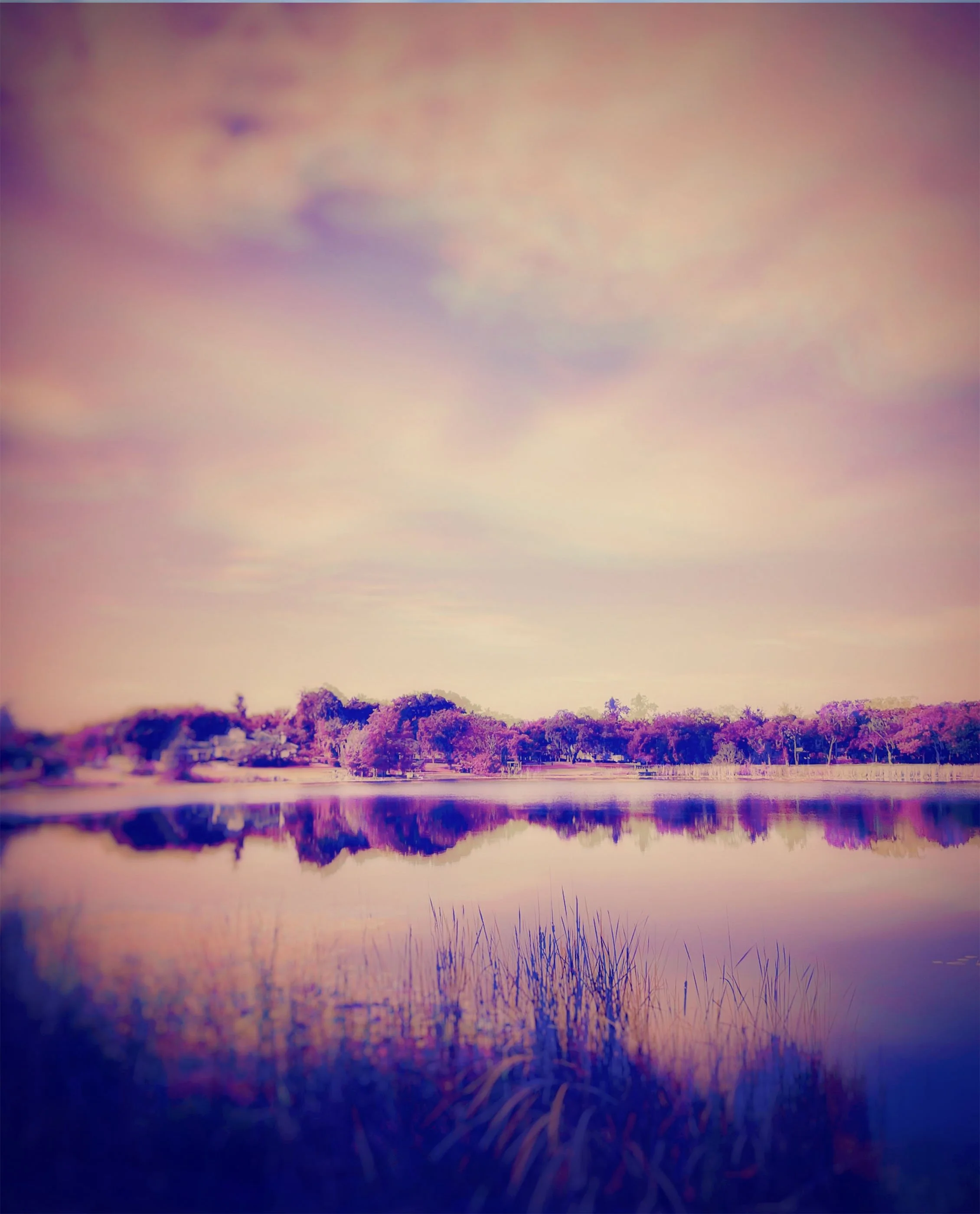 SamanthaLevine_Autumns Blush_Photography_11x14_$150.jpeg