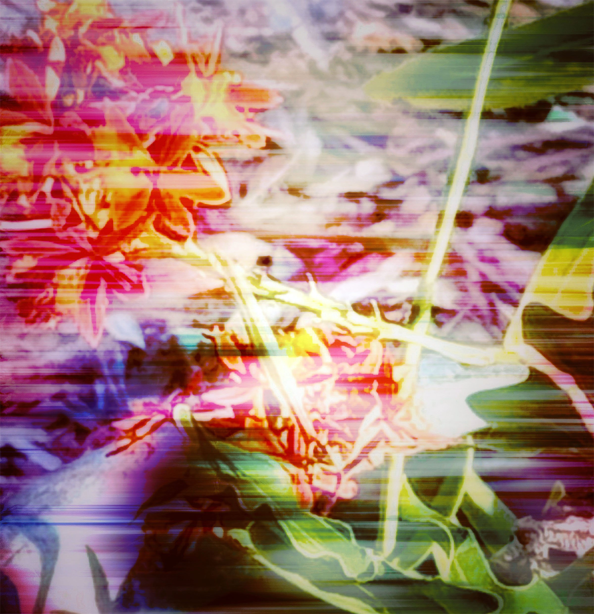 the thorns.jpeg