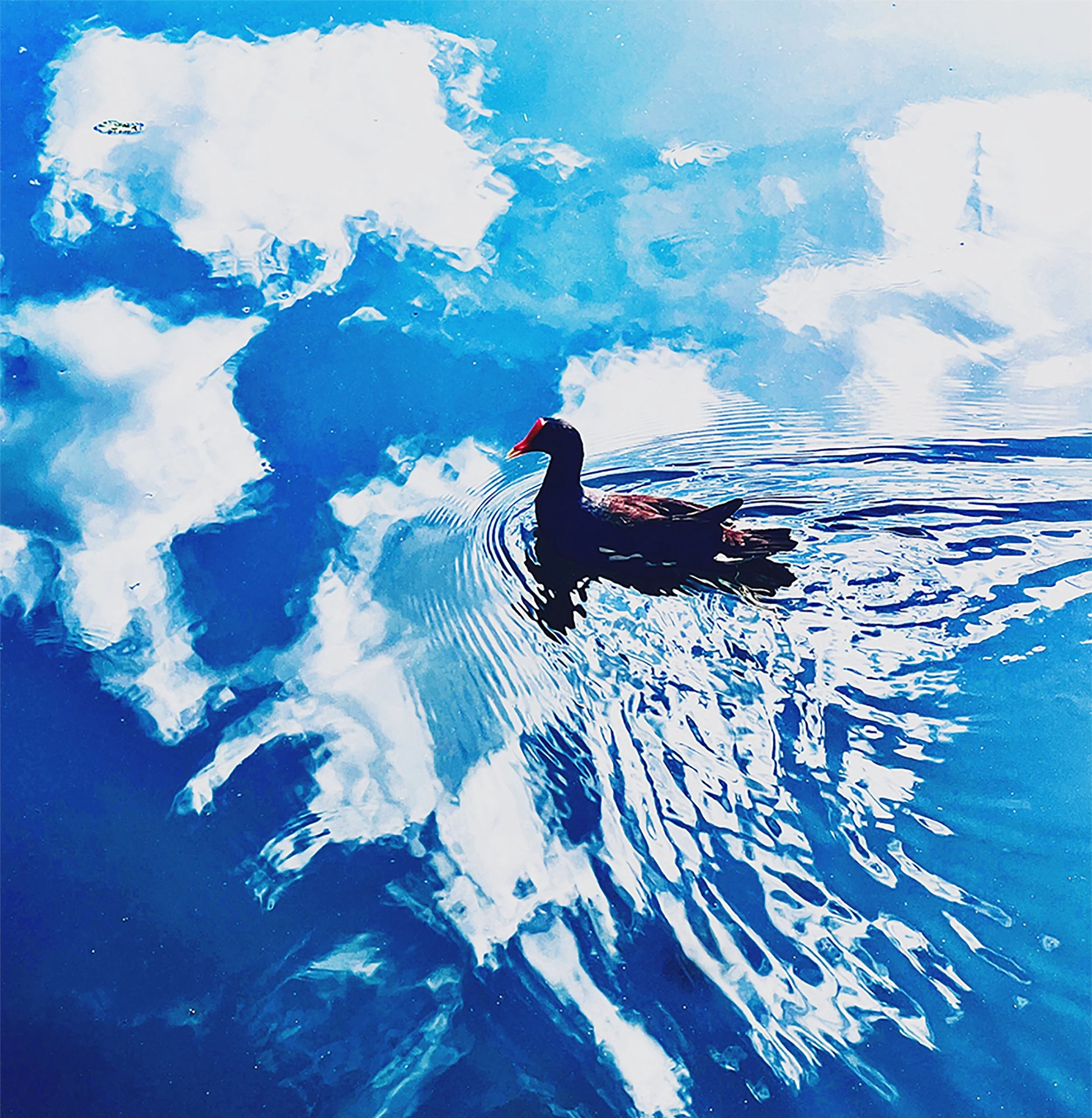 Heart on the Line.jpeg