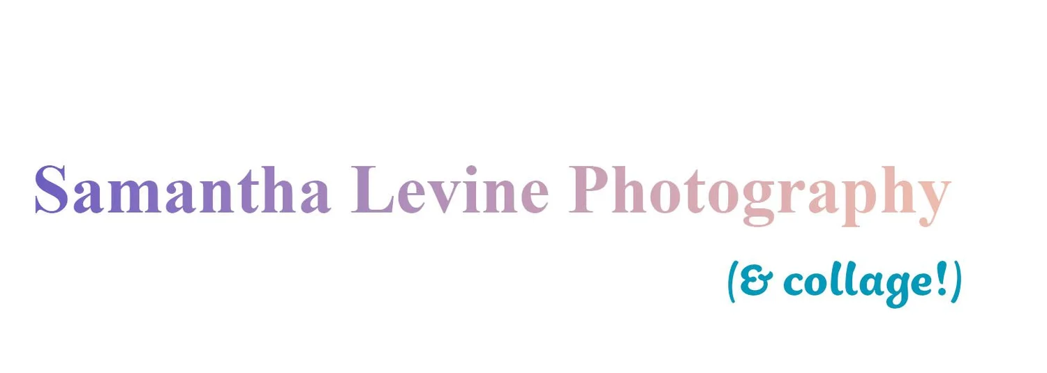 Samantha Levine Photography 