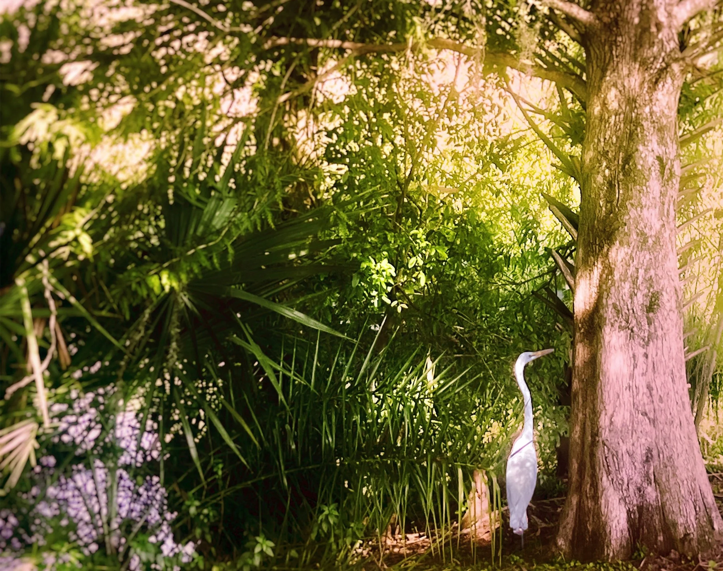 She Has a Secret.jpeg