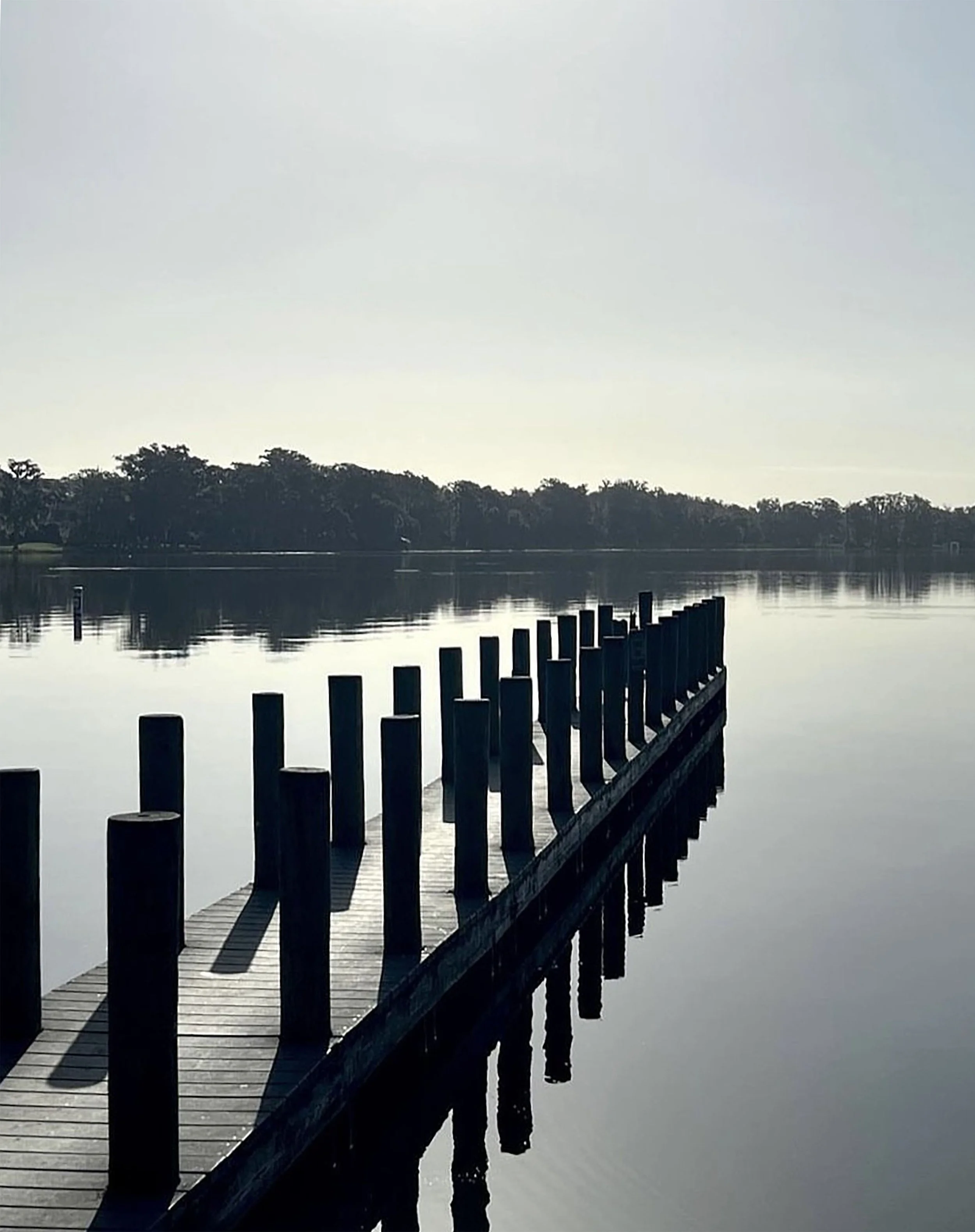 Light in the Gray 1114.jpeg