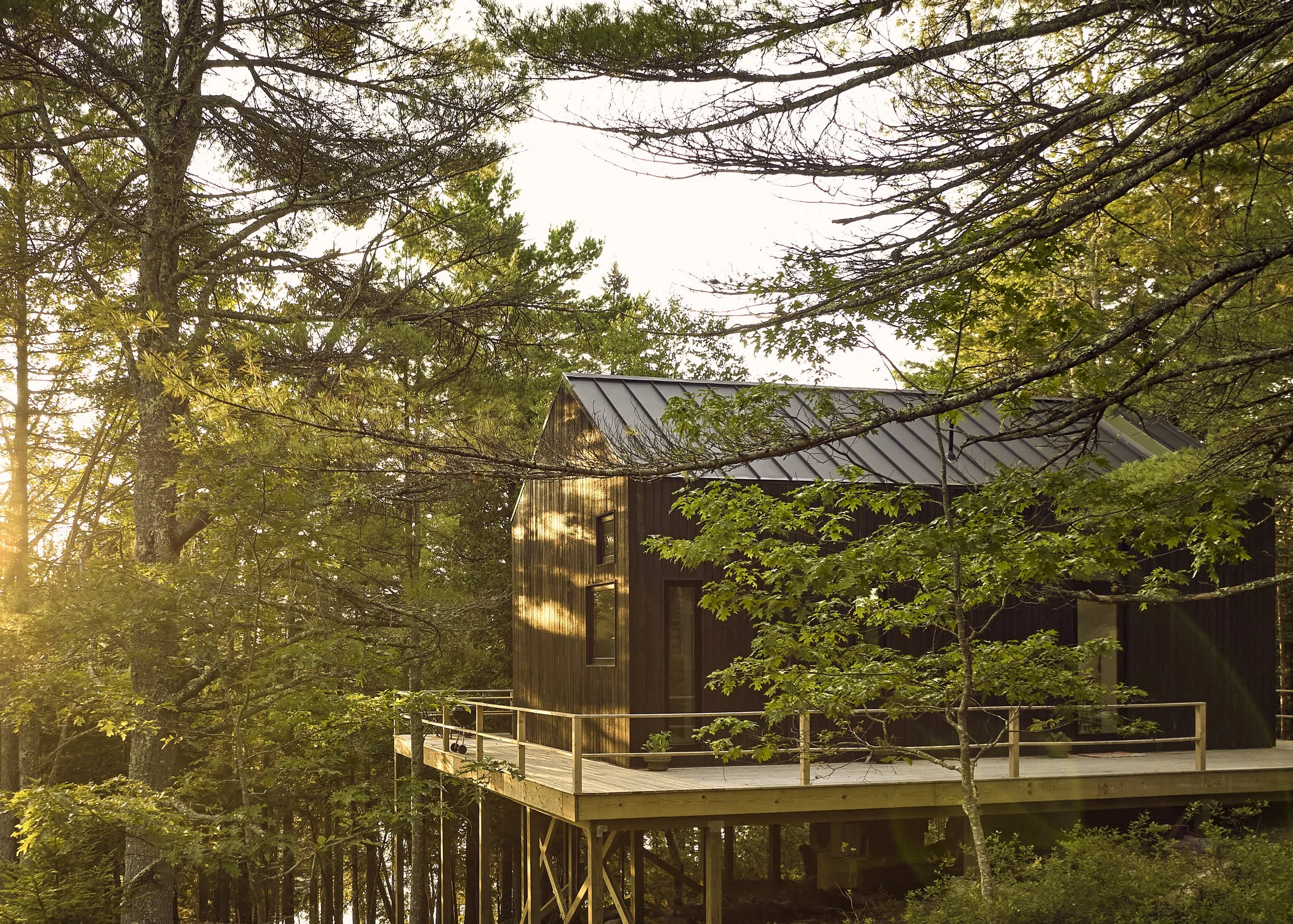 An image of Moss House North Elevation