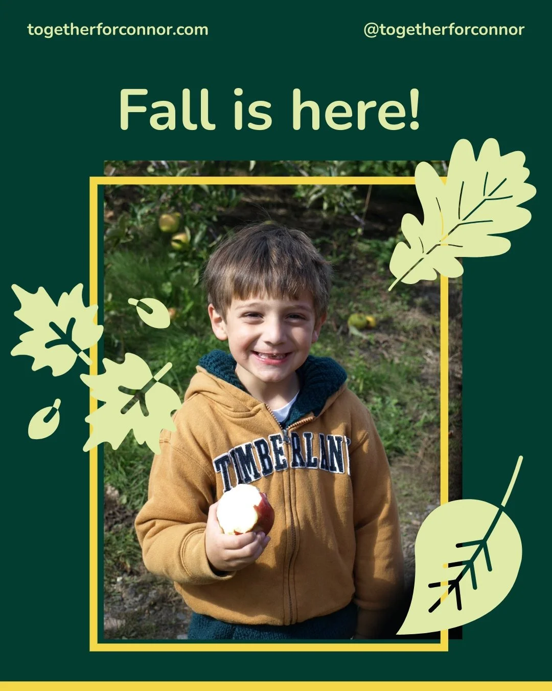 ๐ Fall is here! For many of us, the leaves are beginning to change colors and fall, and the days are getting shorter. With the shift in seasons, it's important for us to be mindful of how these changes can affect our mental health. Simple habits lik