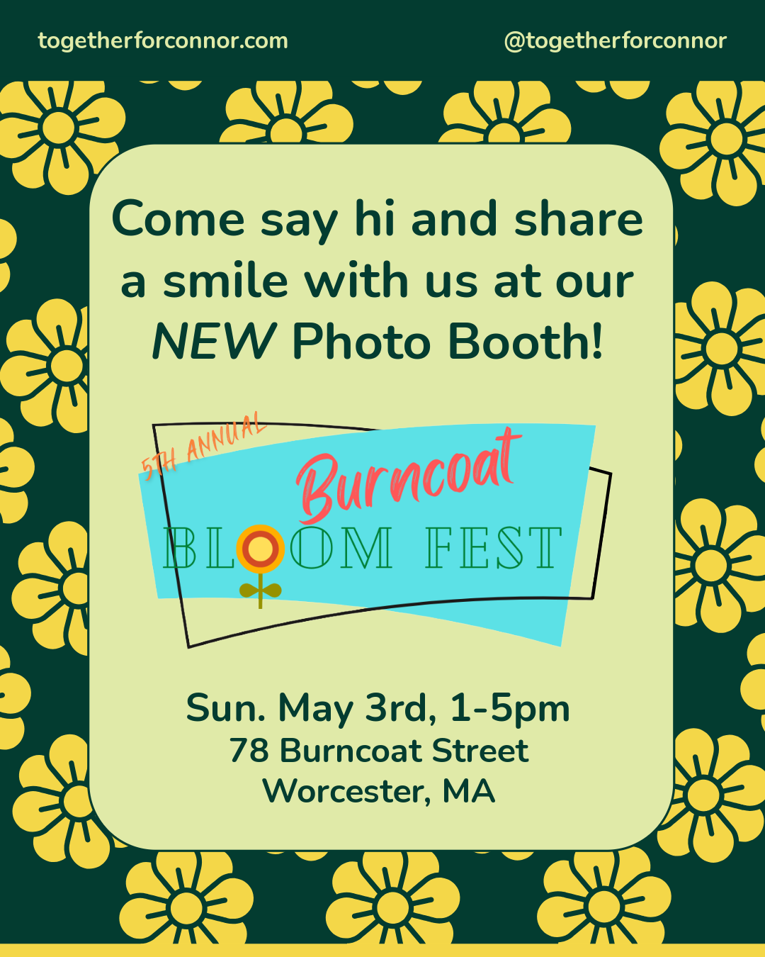 Bloom Fest 2026