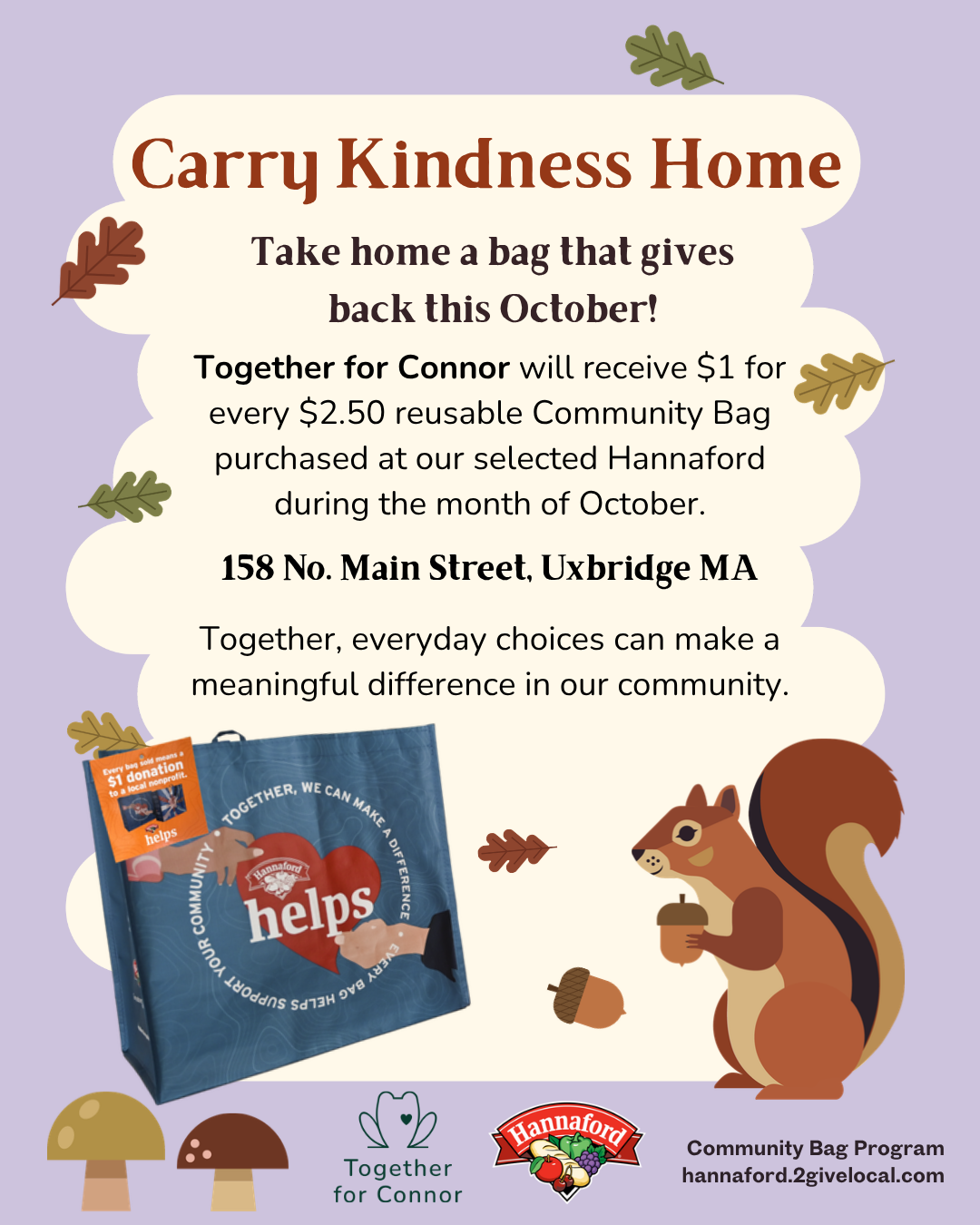 Hannaford Community Bag Program