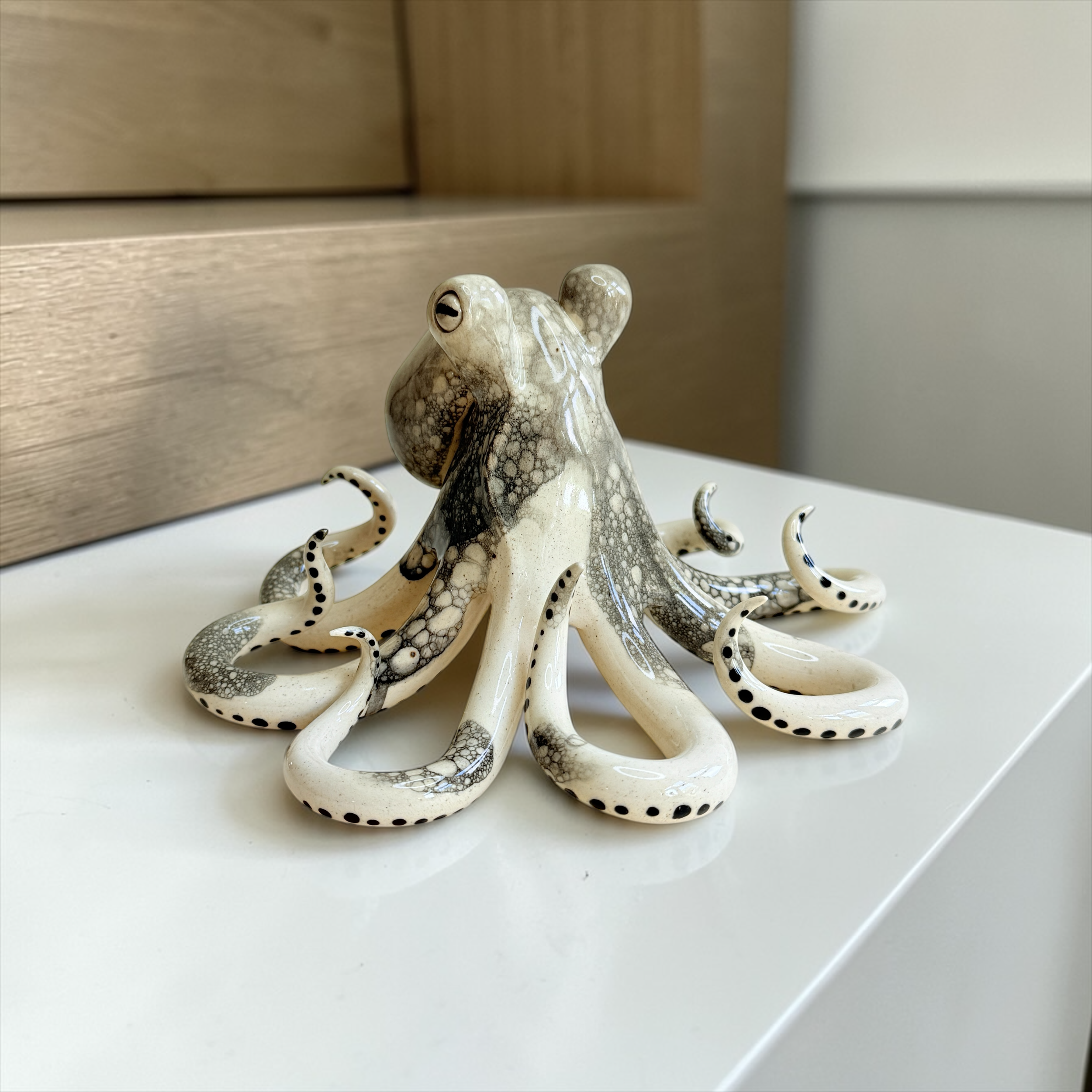 Shell Collector / short