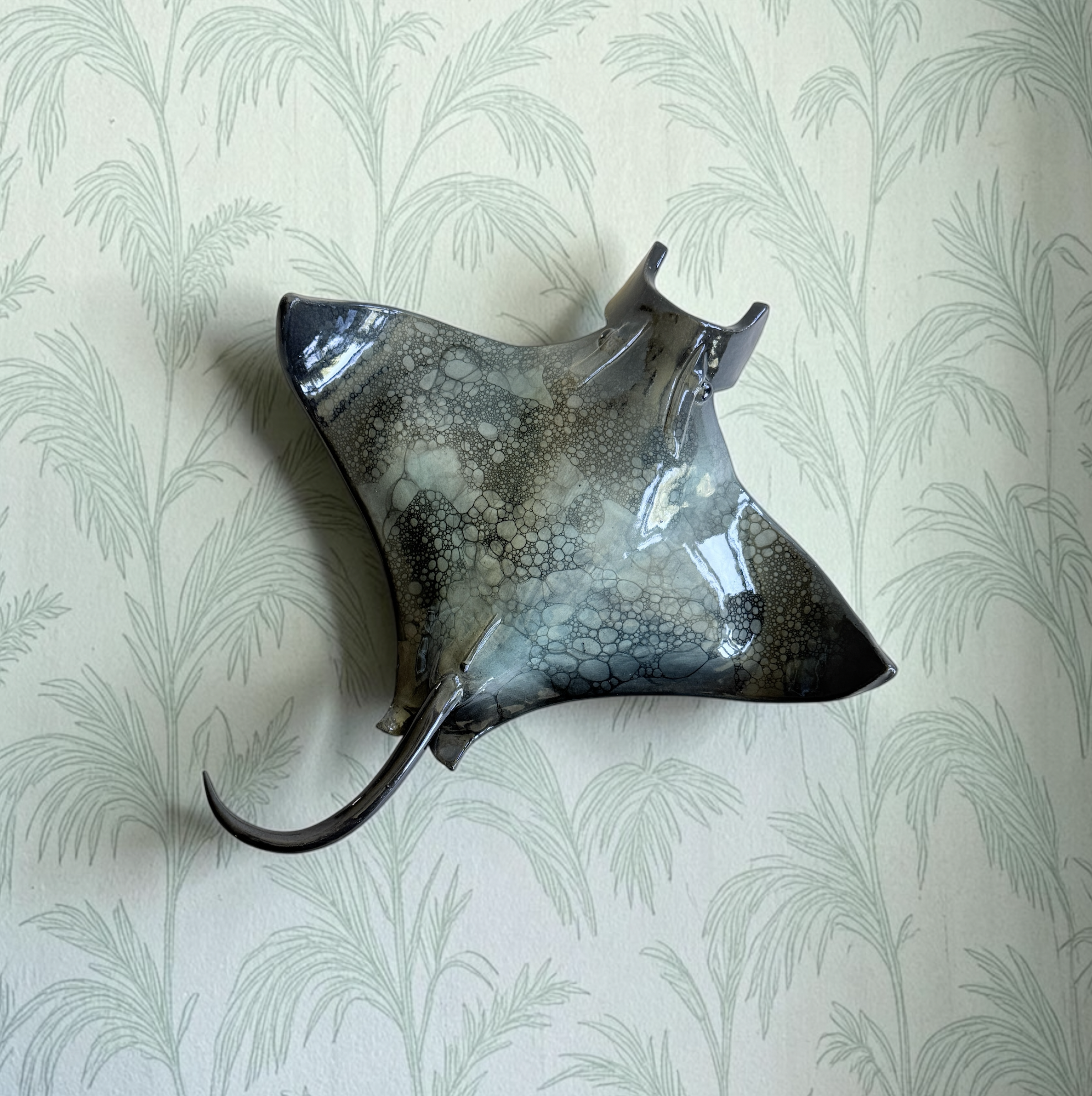 Small Manta Ray