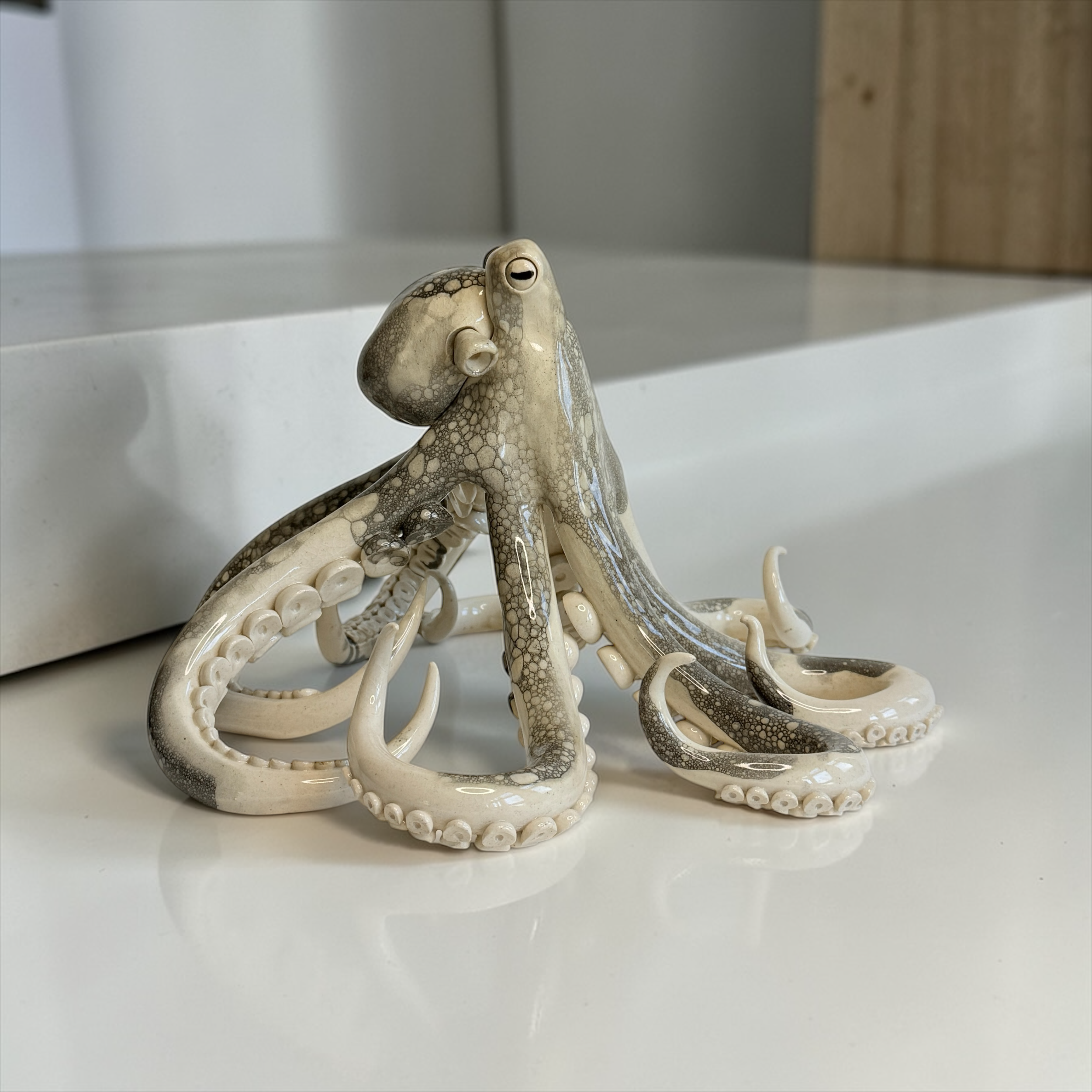 The White Reef Crawler