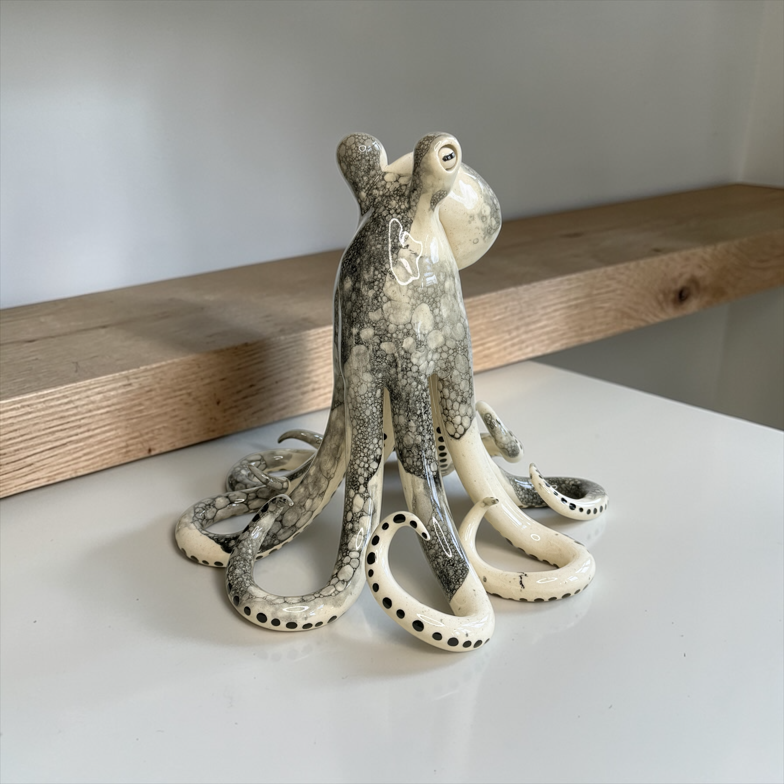 The Shell Collector / tall