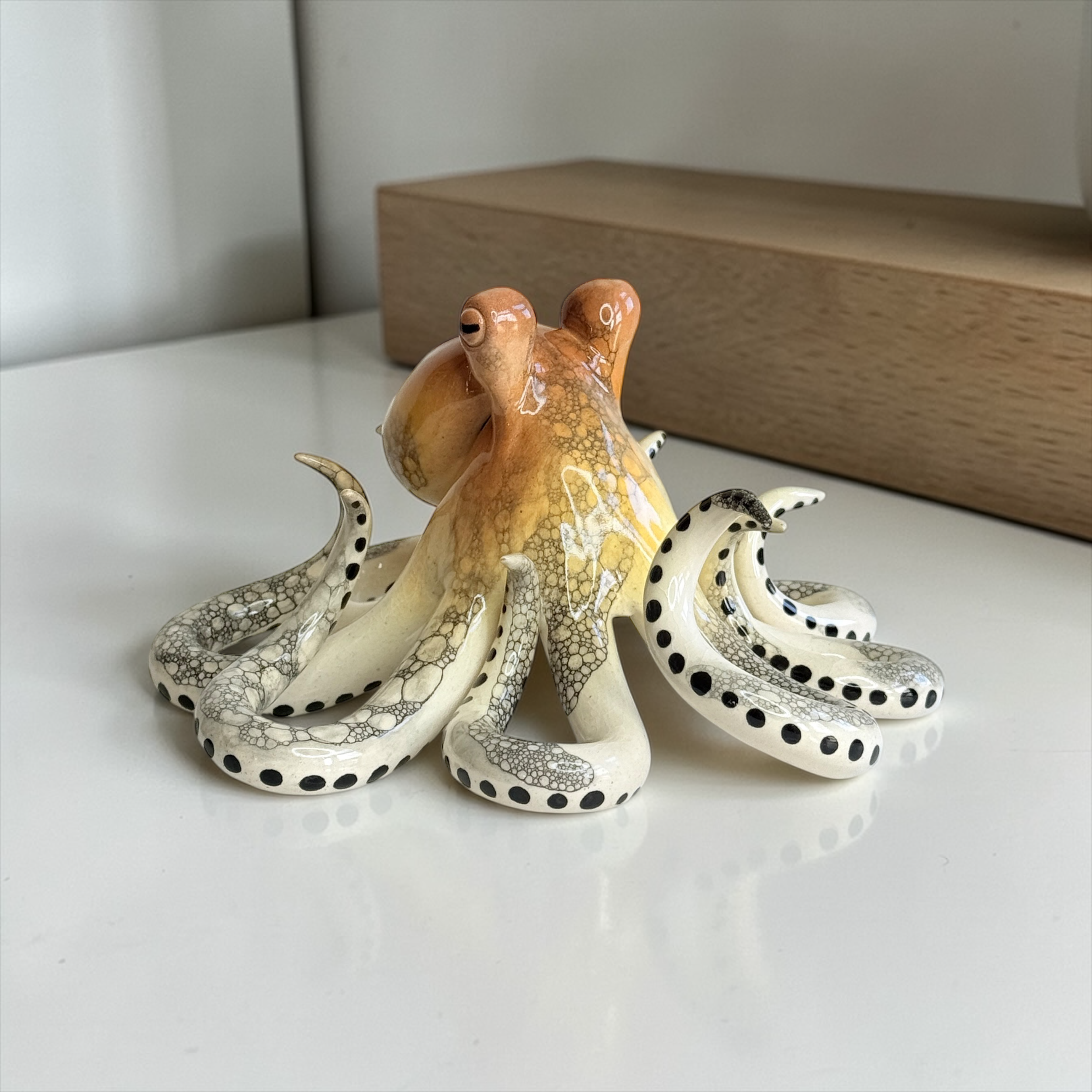 Beach Comber / short