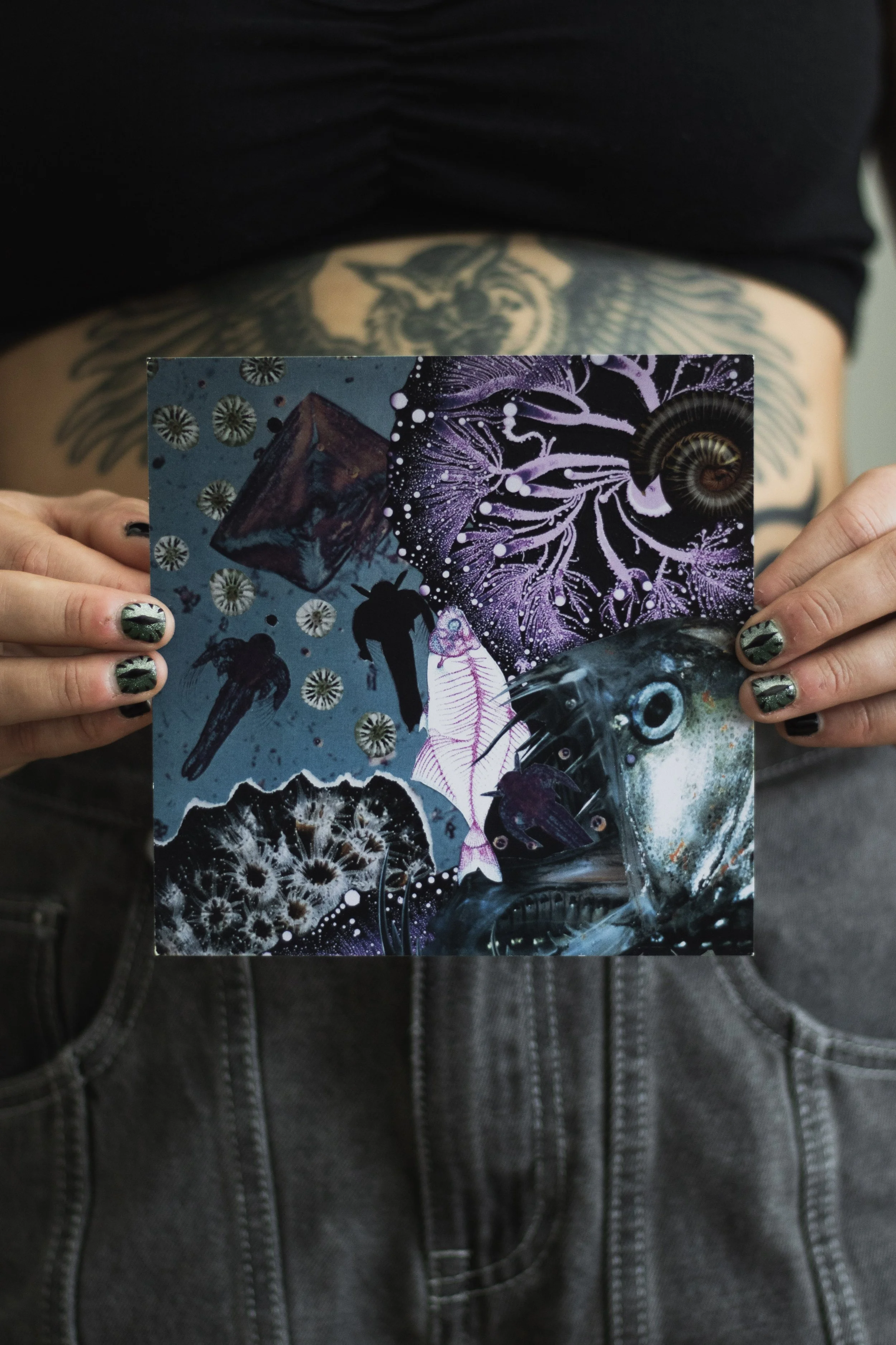 watercritters postcard