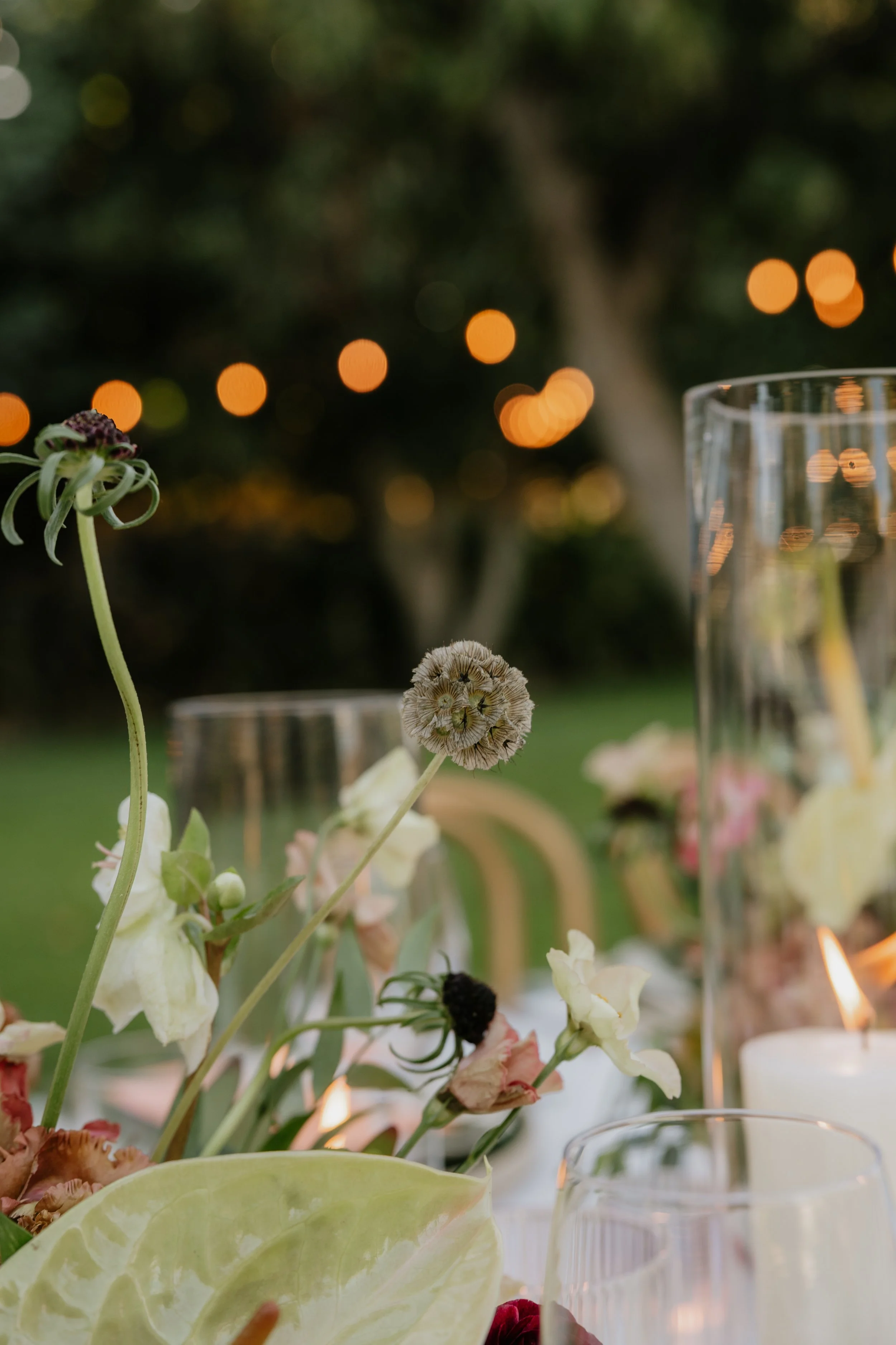 AJ&K_Wedding1307.jpg