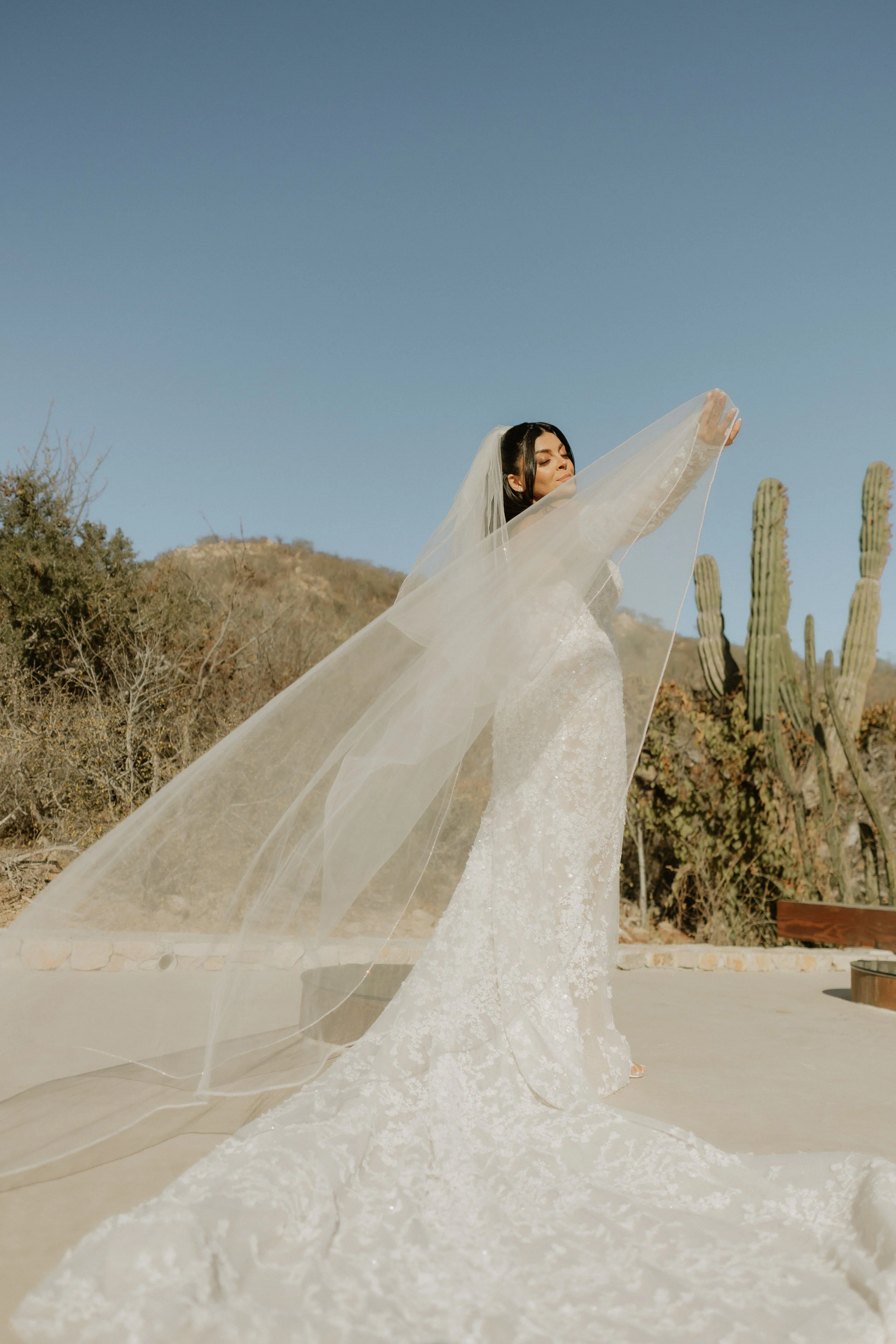 S&D_Wedding456.jpg