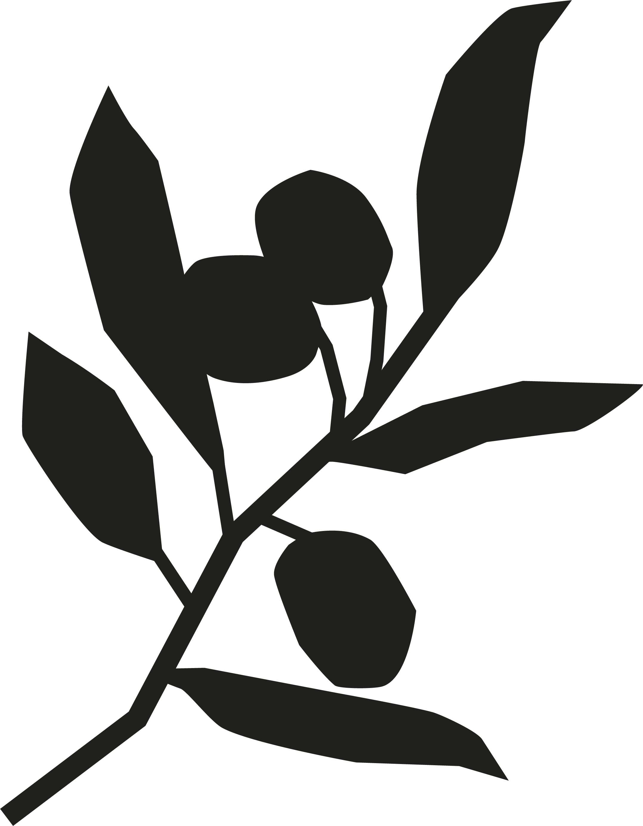 Olive2_Noir.png
