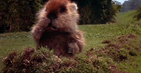 Badlands Update #3: Shoes to Fill the Void I've Left you with.