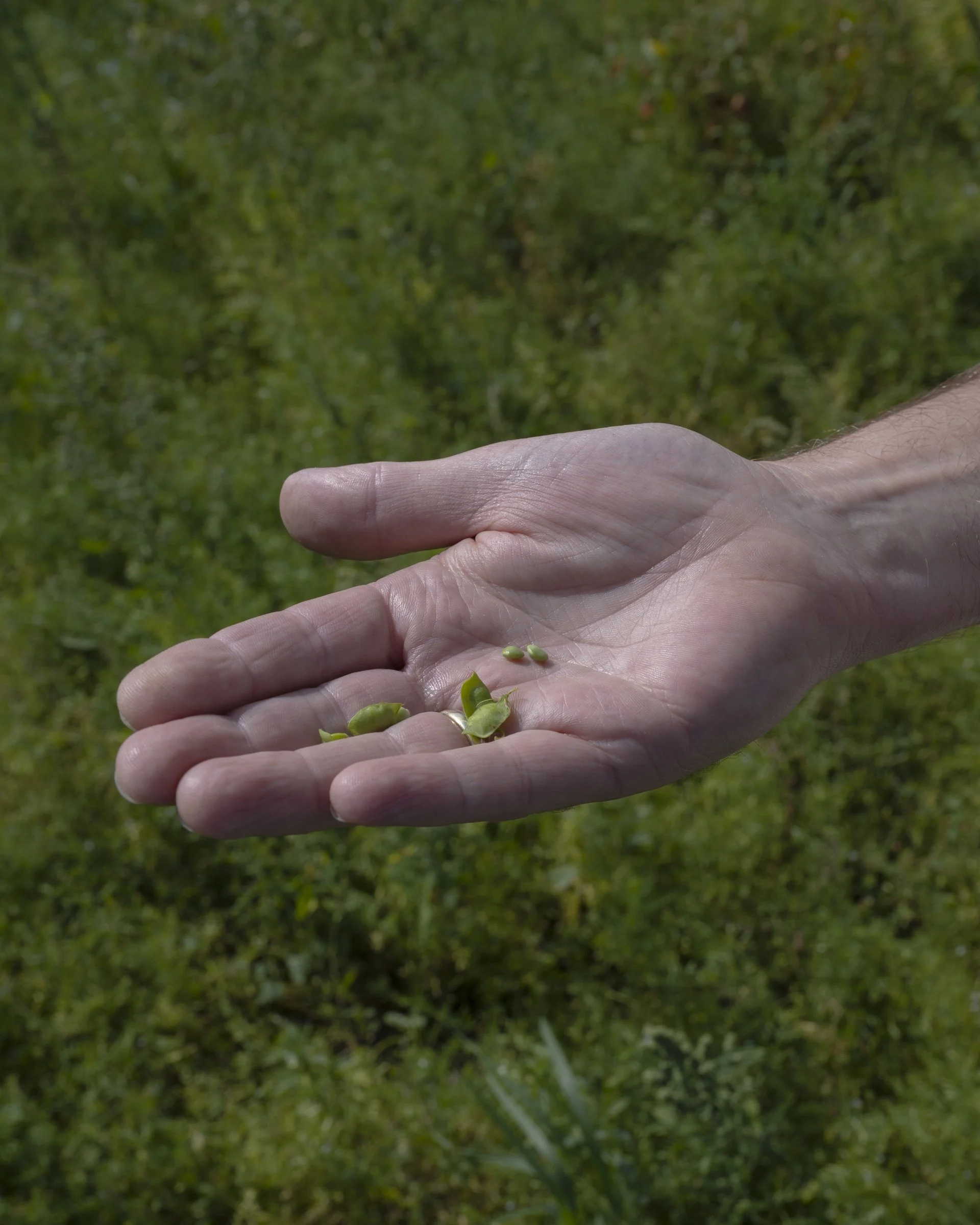 2025-2807-nocla-denmark-19 Kopie.jpg
