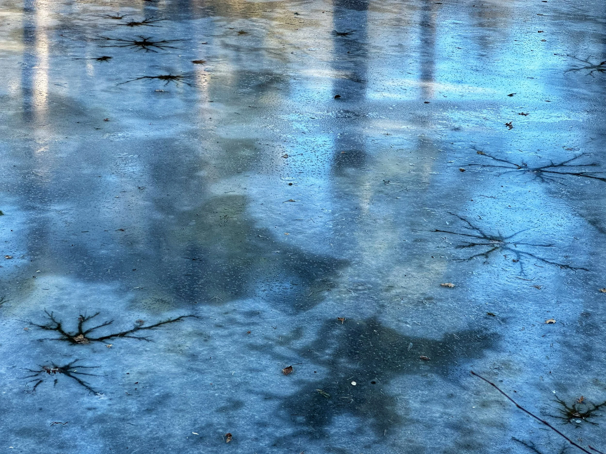 LOOKING DOWN AT THE STARS - Newburyport, MA (December 20, 2025) - On the eve of the winter solstice, "lake stars" form on the thin ice of a New England pond. This is the Flowering Pond in Maudslay State Park, and the ice reflects many shades of blue 