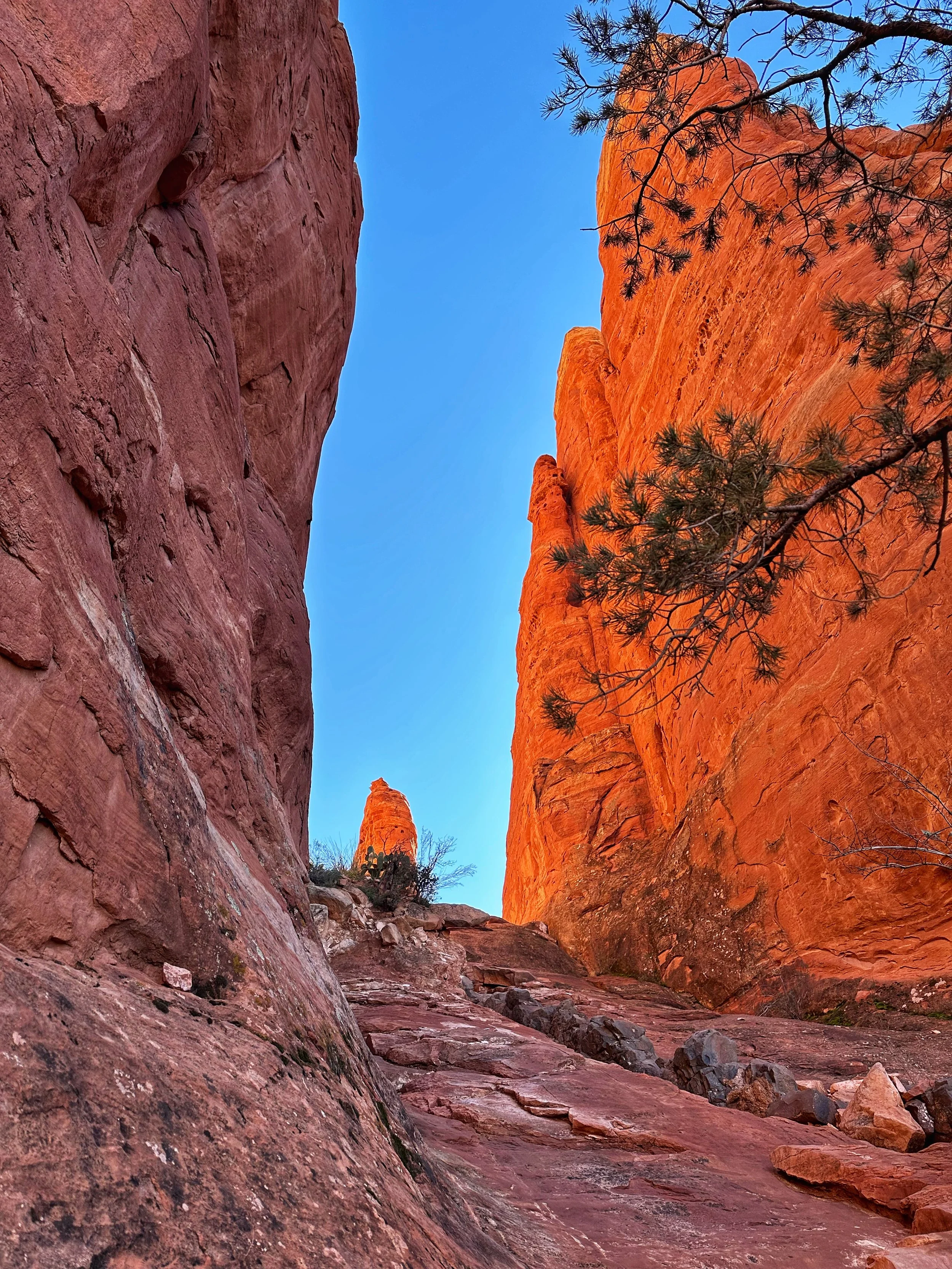 SUN ON CATHEDRAL ROCK -- Sedona, Arizona (January 9, 2026)
