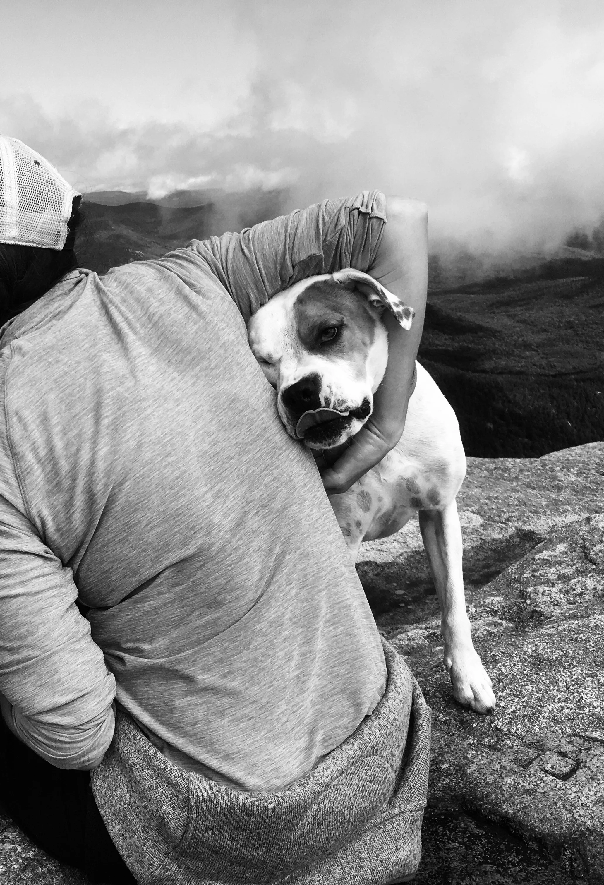 DOG IS LOVE (WHITE MOUNTAINS) - Albany, New Hampshire (September 21, 2022) - This warm and friendly dog's person can barely restrain him from making his way over to greet strangers on the top of Mt. Chocorua.