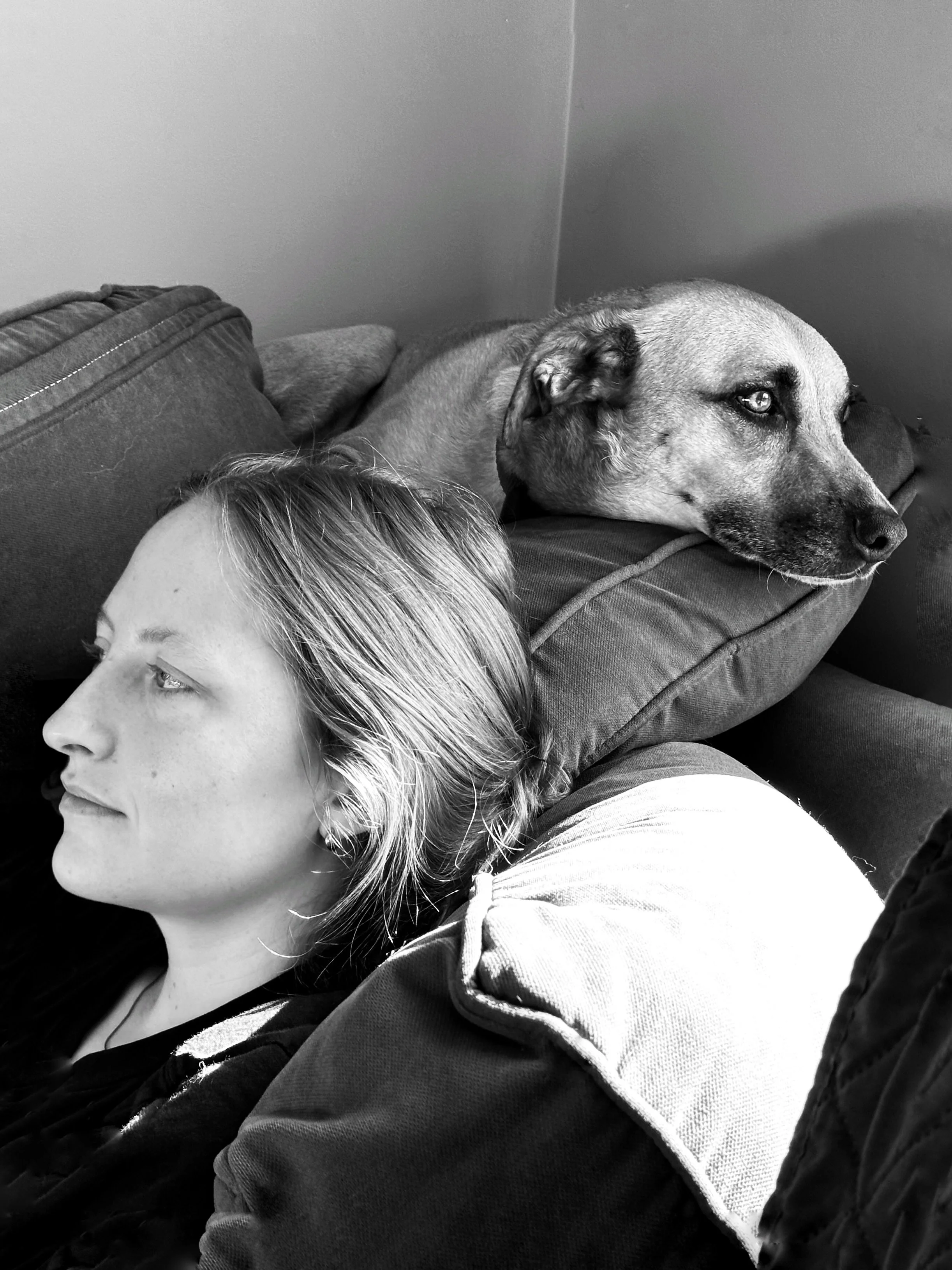 DOG IS LOVE (WEST NEWBURY) - West Newbury, MA (July 12, 2026) - Olivia and Molly