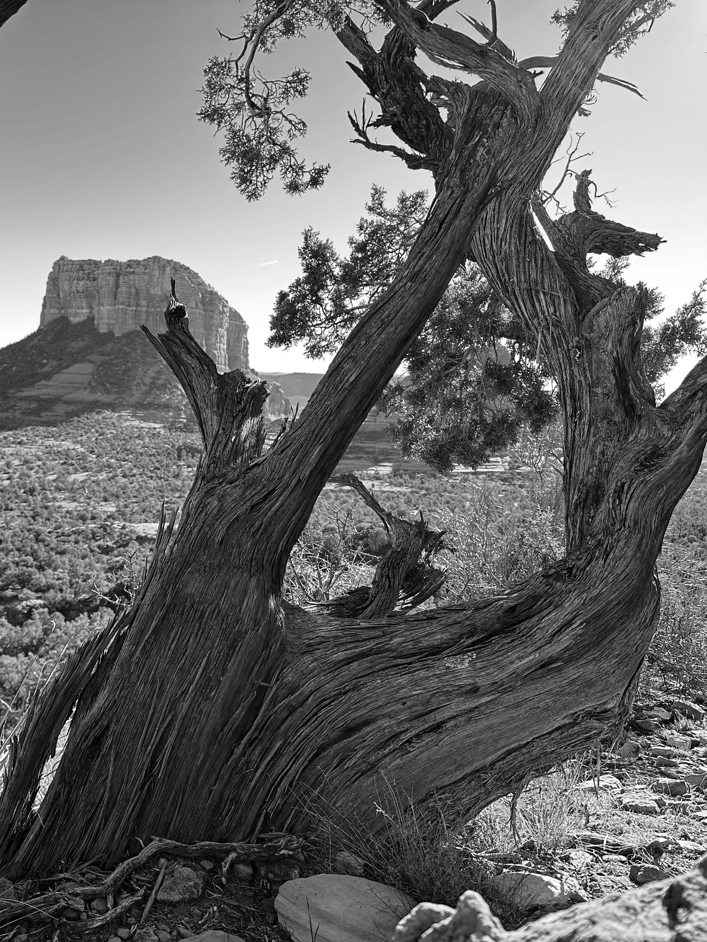 ANCIENT ONES - Sedona, Arizona (January 11, 2026) 