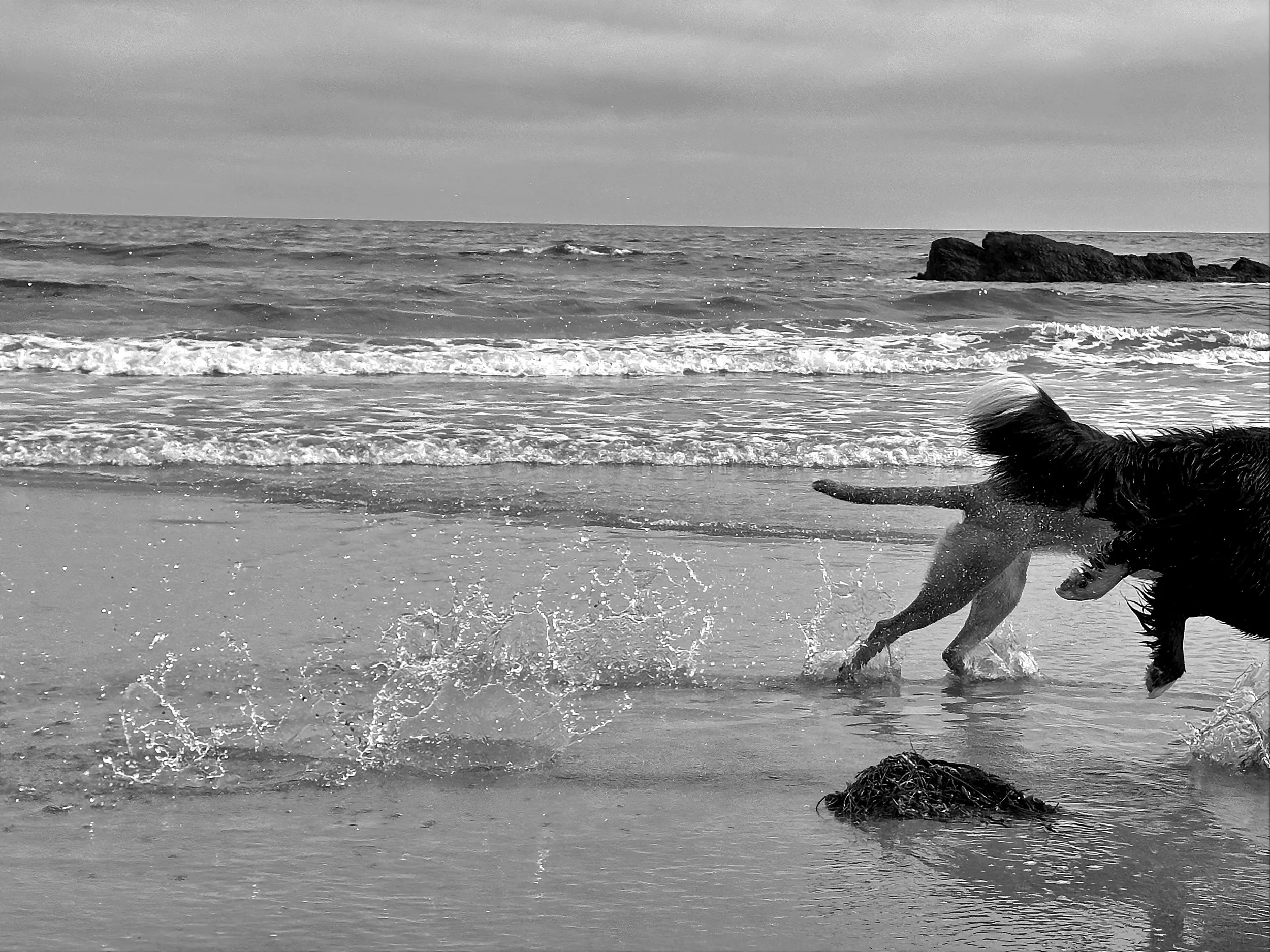 1. A Joyful Splashing - 4-26-26 - BW - 12x16.jpg