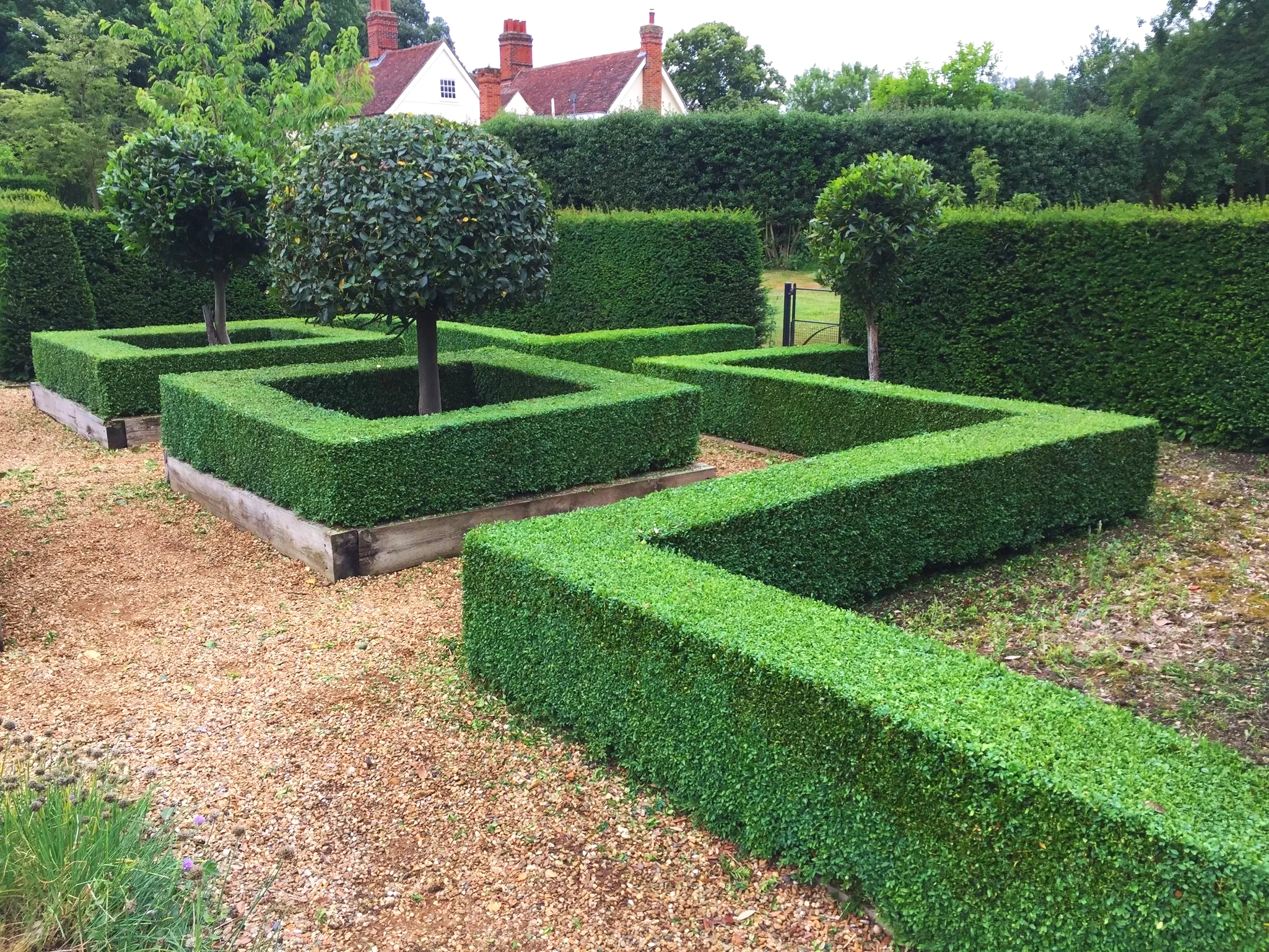 A landscaped garden with two small trees in square-shaped hedges and a decorative hedge maze, surrounded by taller hedges and trees.