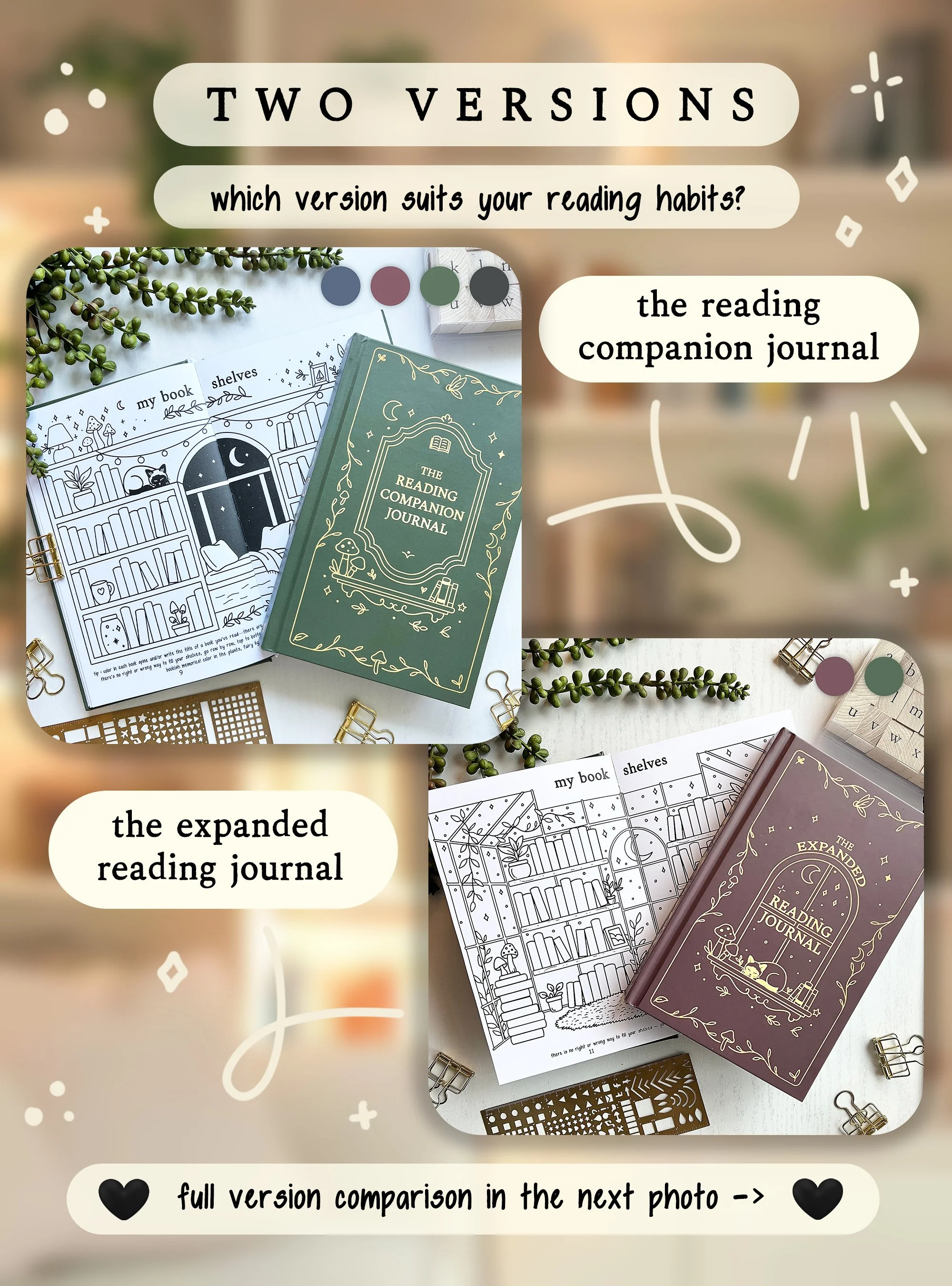 ERJ_TwoVersions copy.jpg