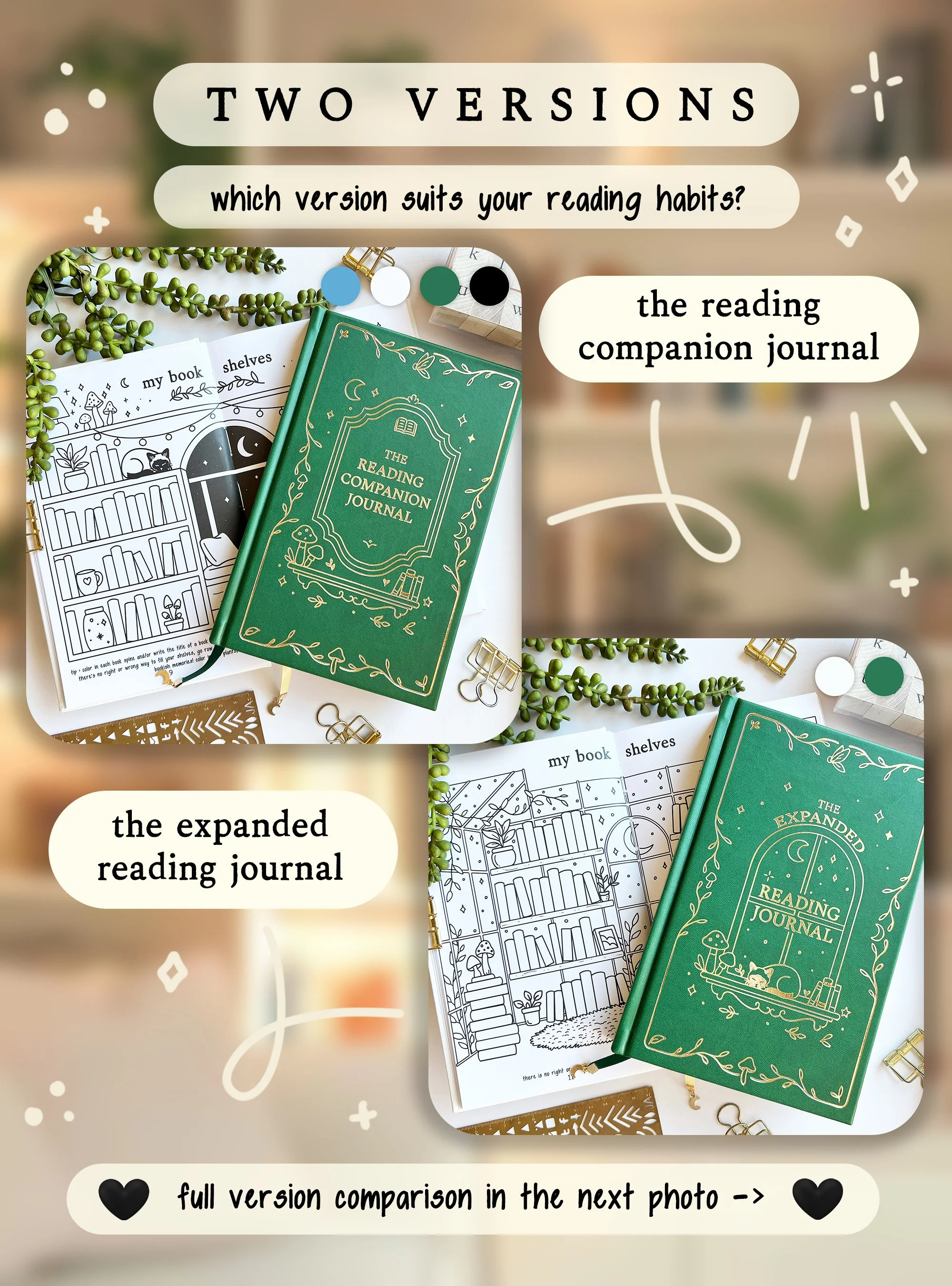 ERJ_TwoVersions copy.jpg